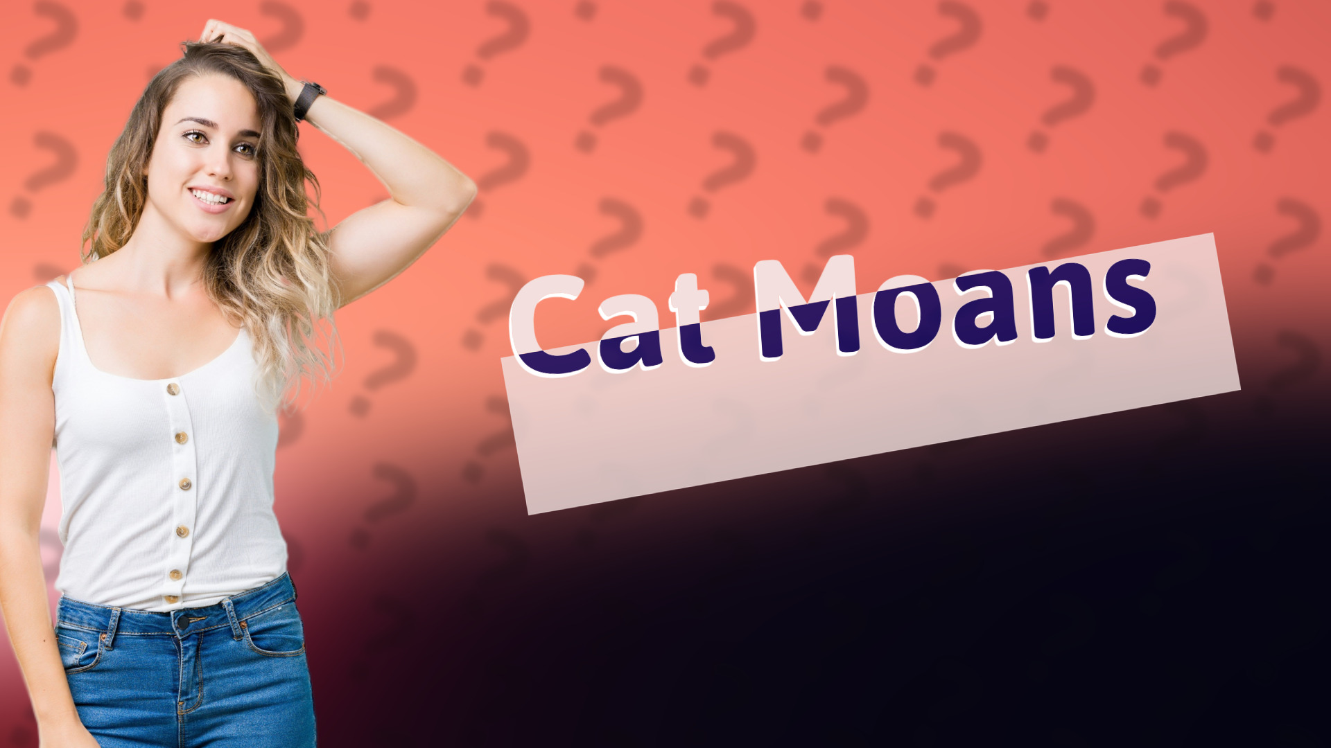 Cat Moans