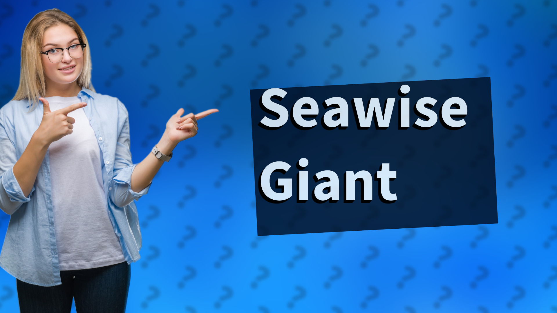 Seawise Giant