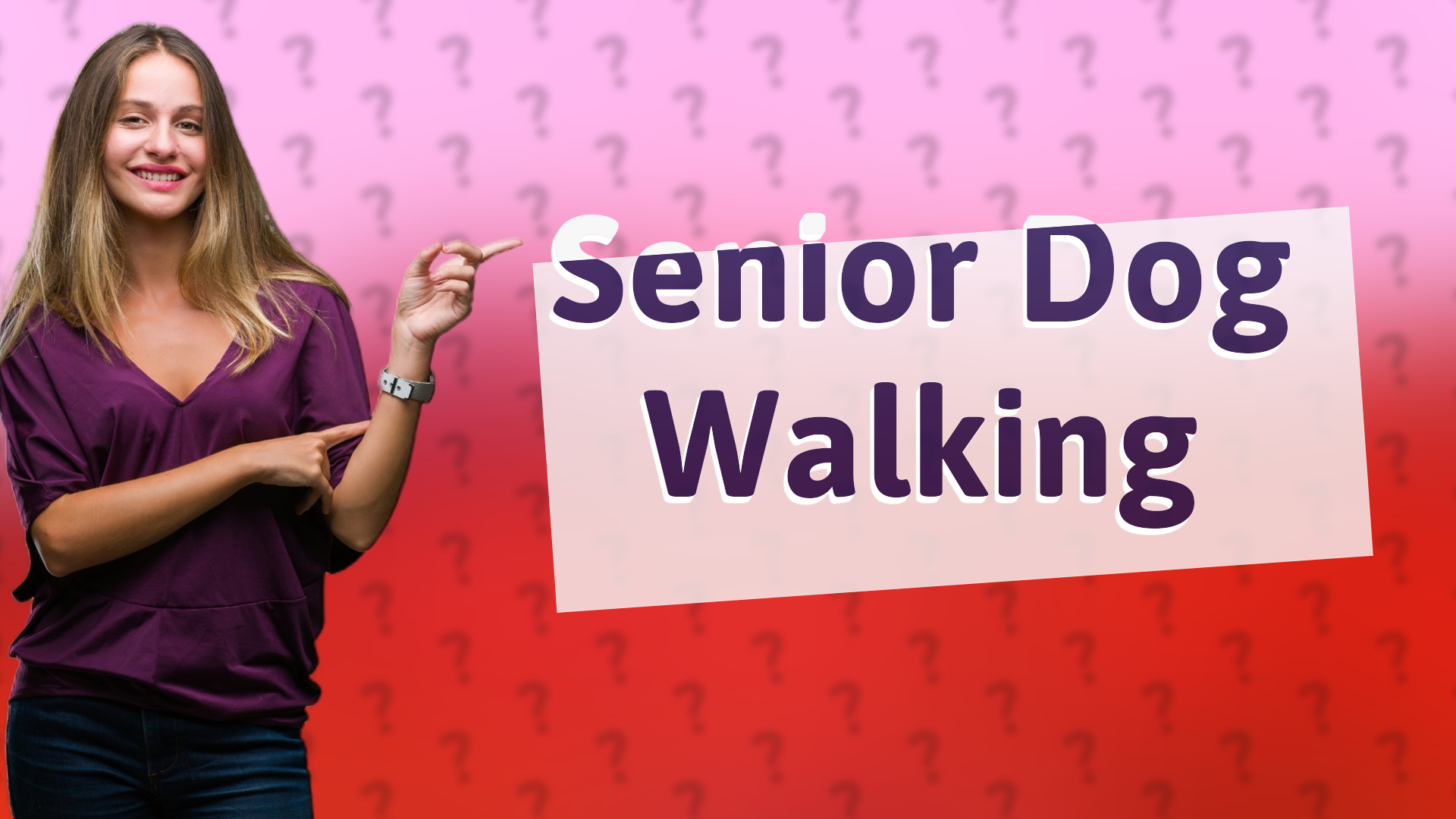 Senior Dog Walking