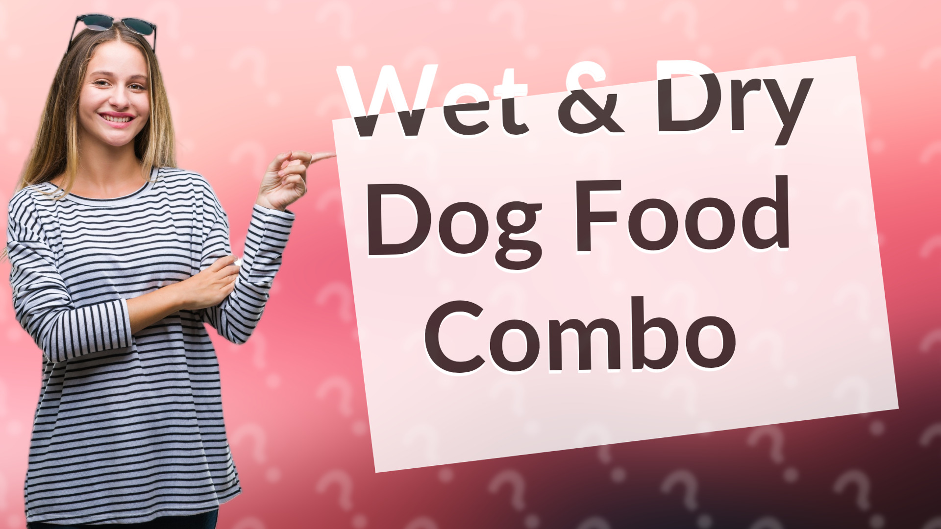 Wet & Dry Dog Food Combo