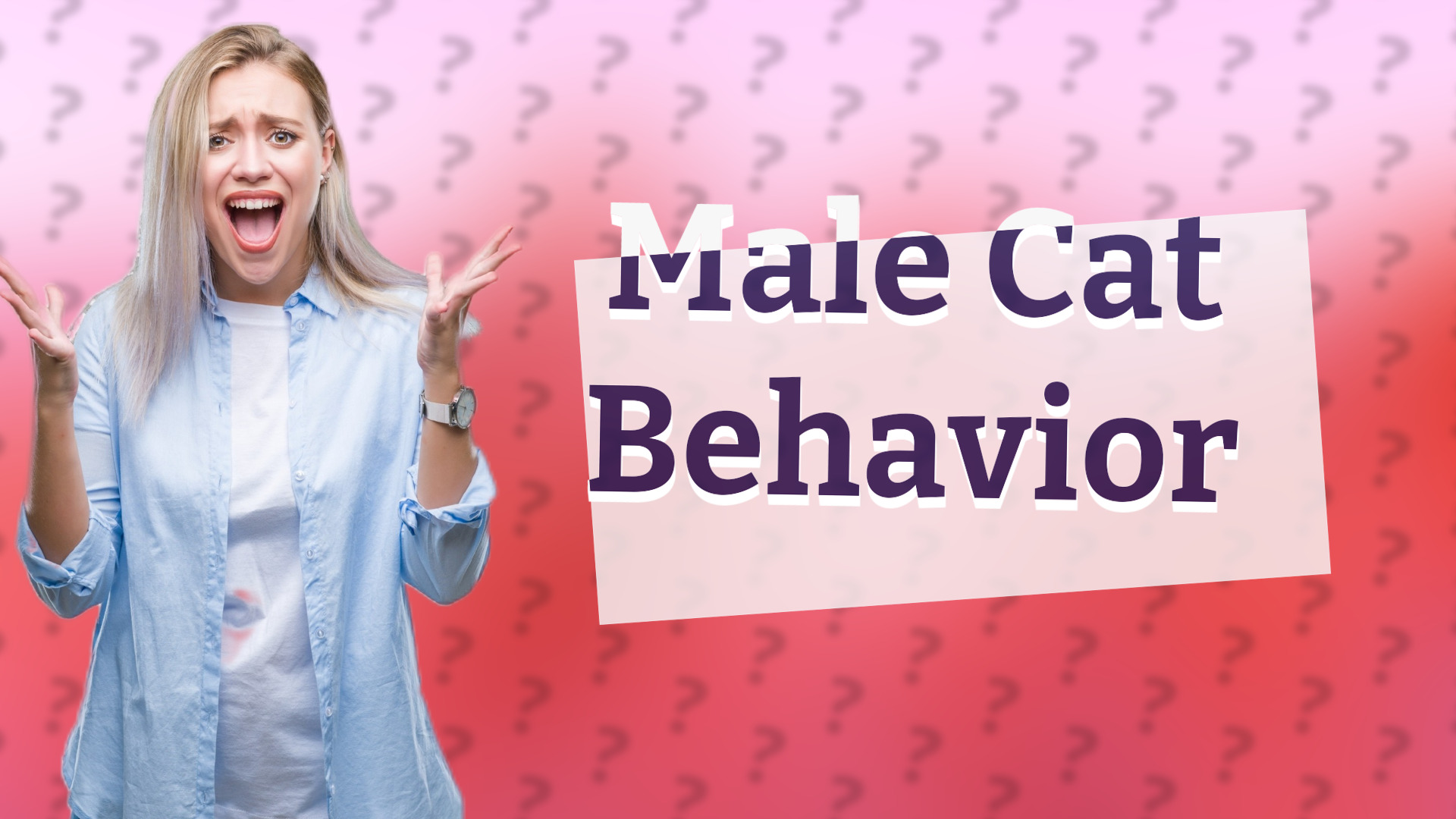 Male Cat Behavior