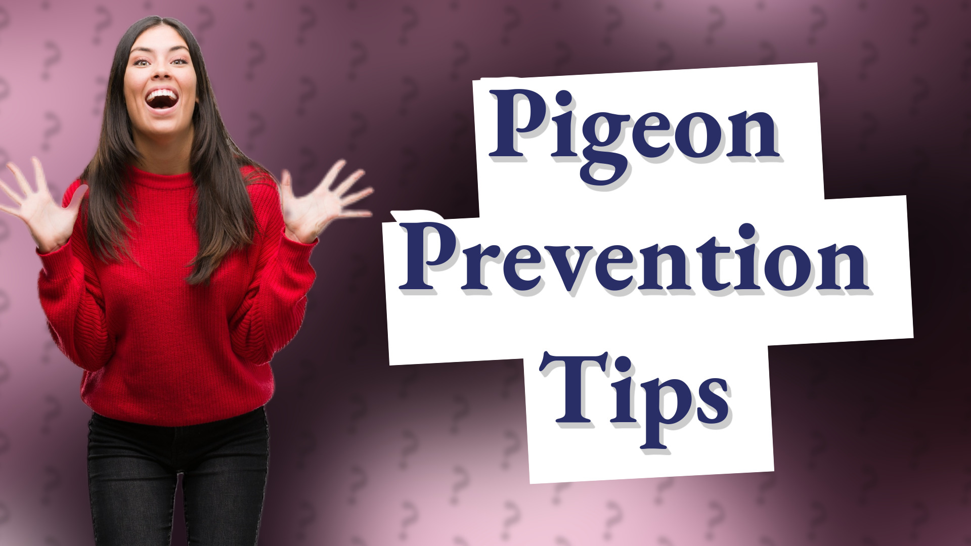 Pigeon Prevention Tips