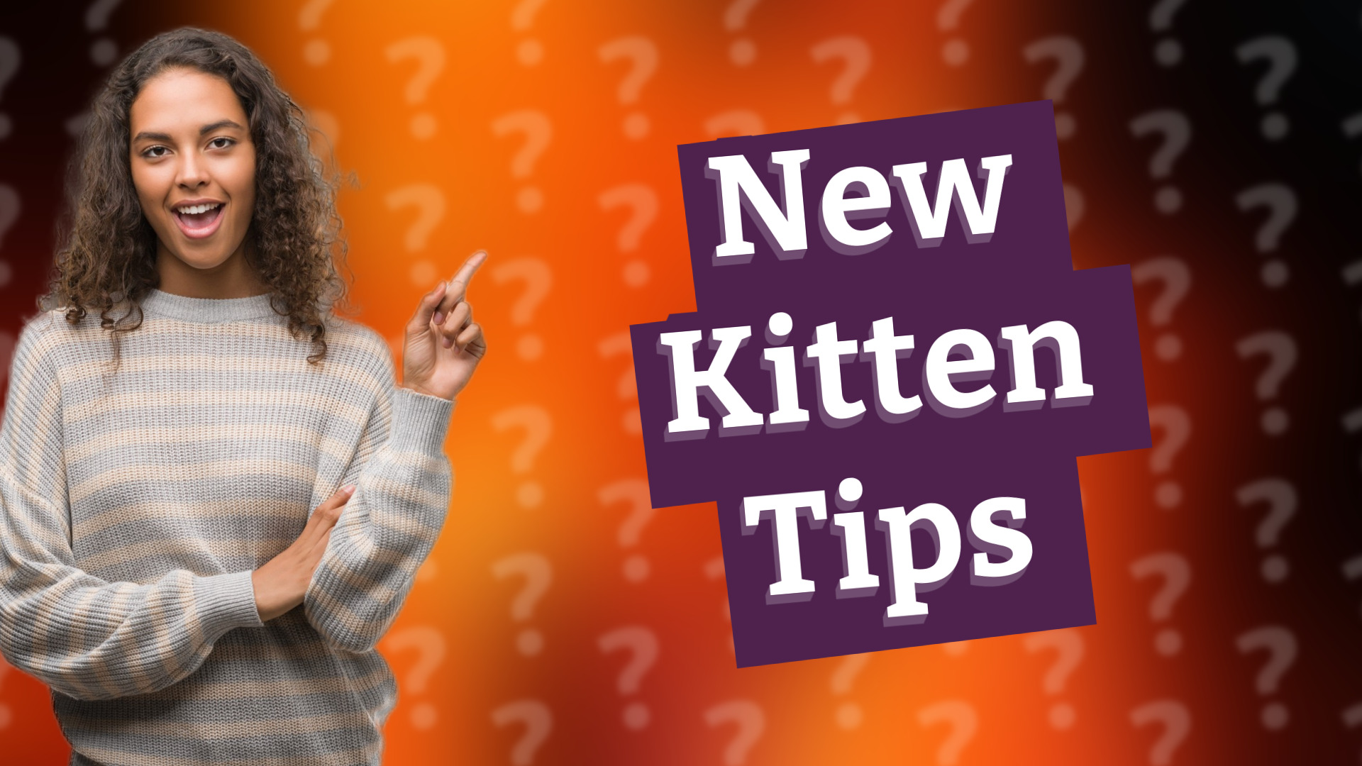 New Kitten Tips