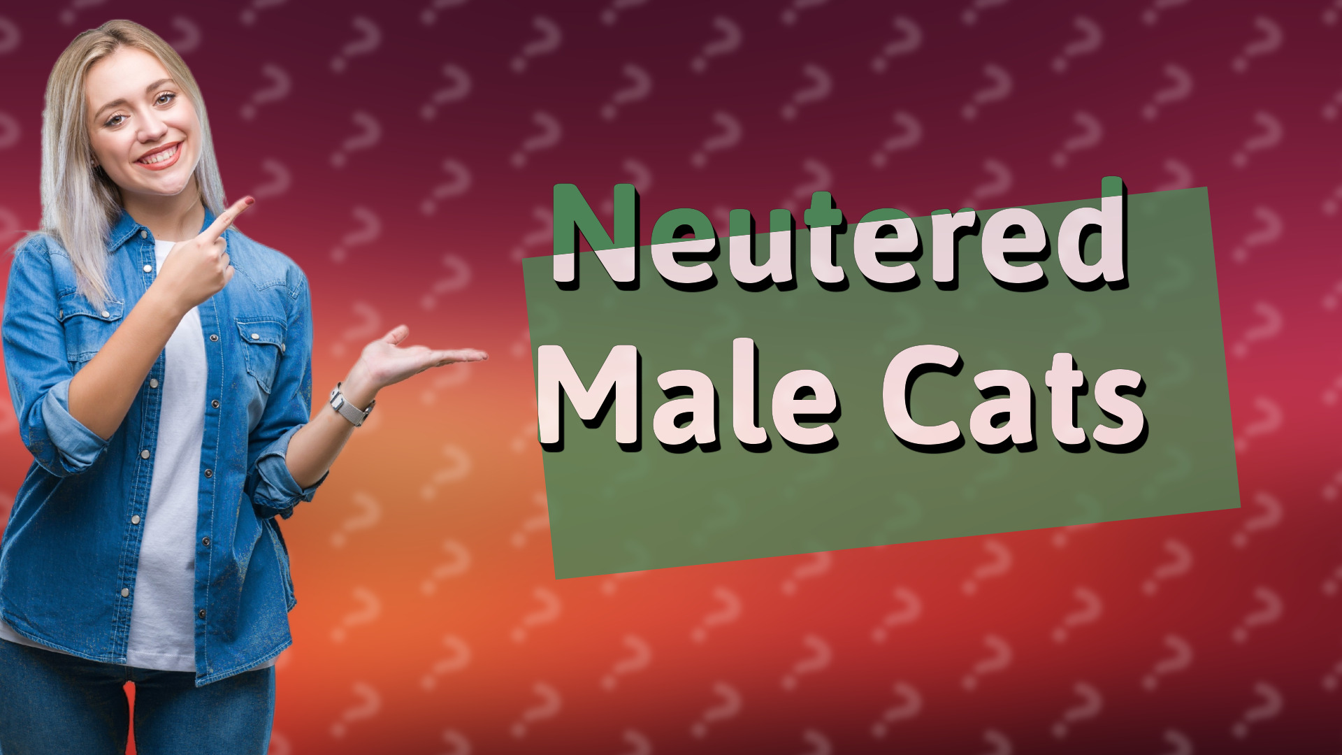 Neutered Male Cats