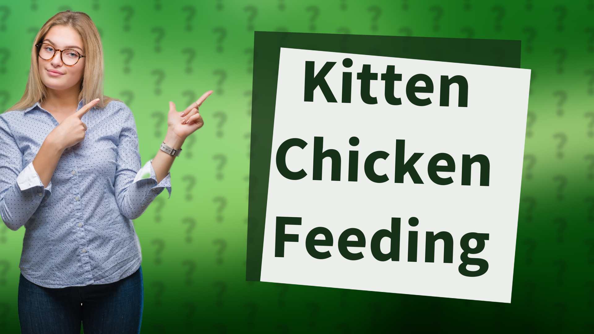 Kitten Chicken Feeding