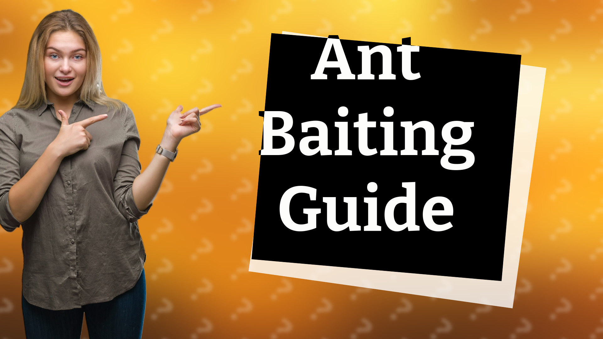 Ant Baiting Guide
