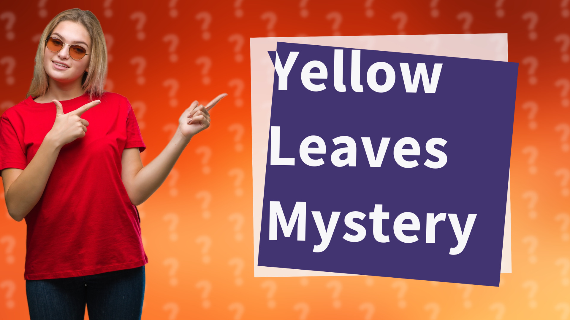 Yellow Leaves Mystery