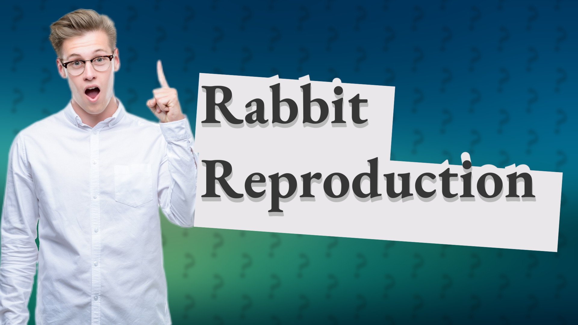 Rabbit Reproduction
