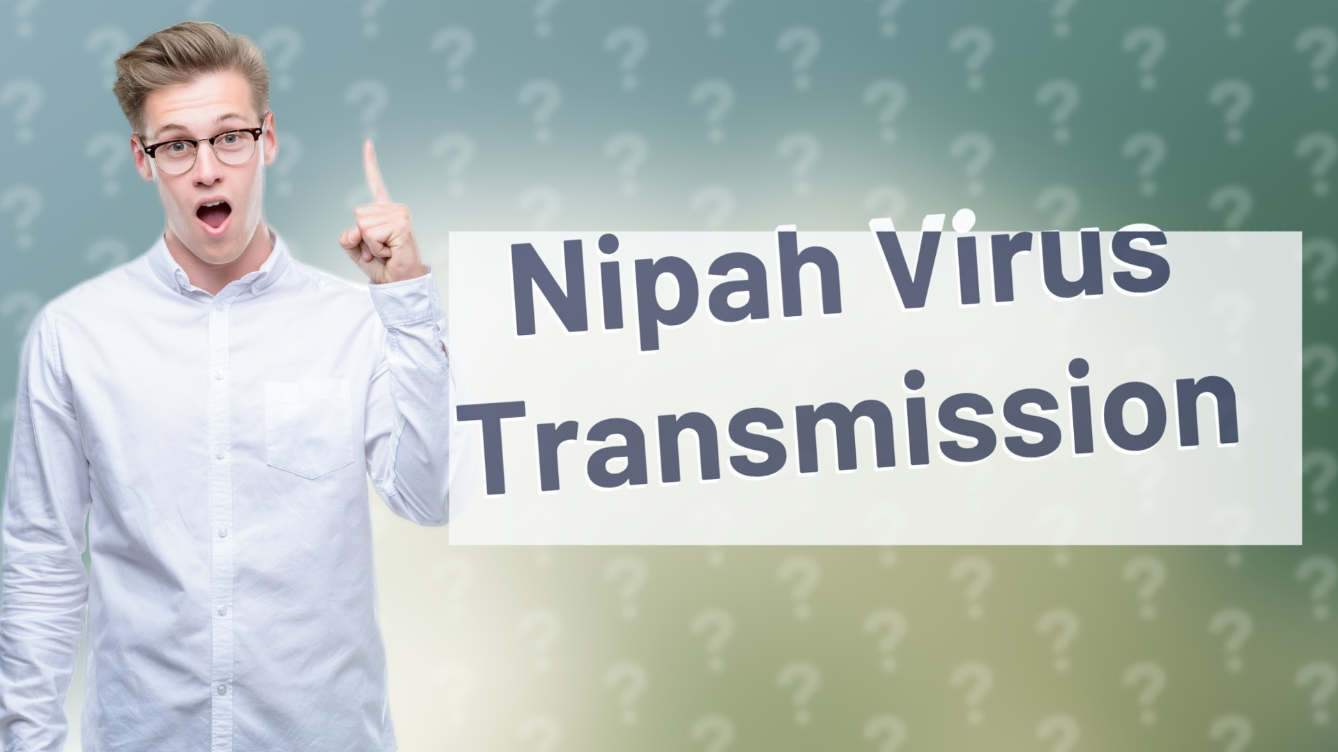 Nipah Virus Transmission