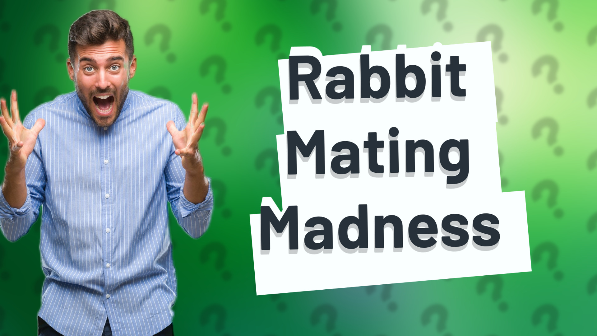 Rabbit Mating Madness