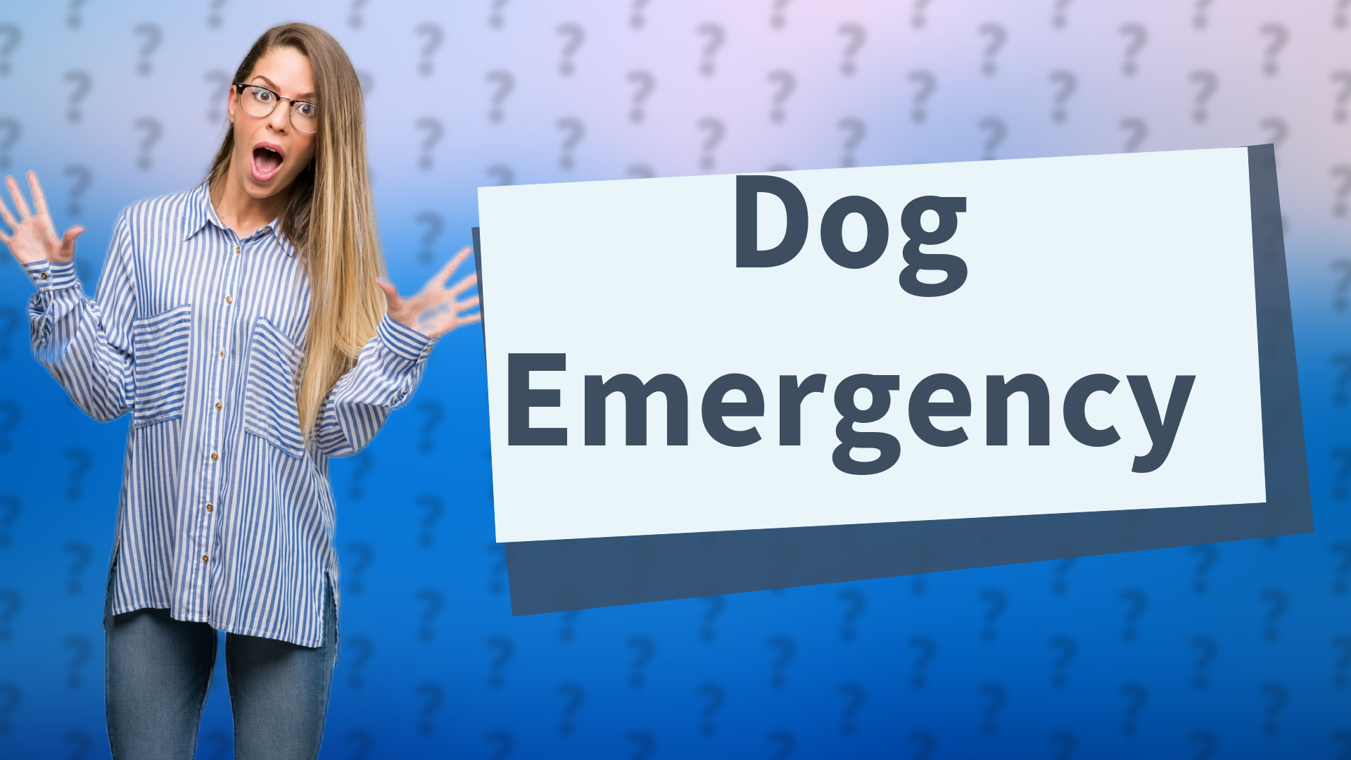 Dog Emergency