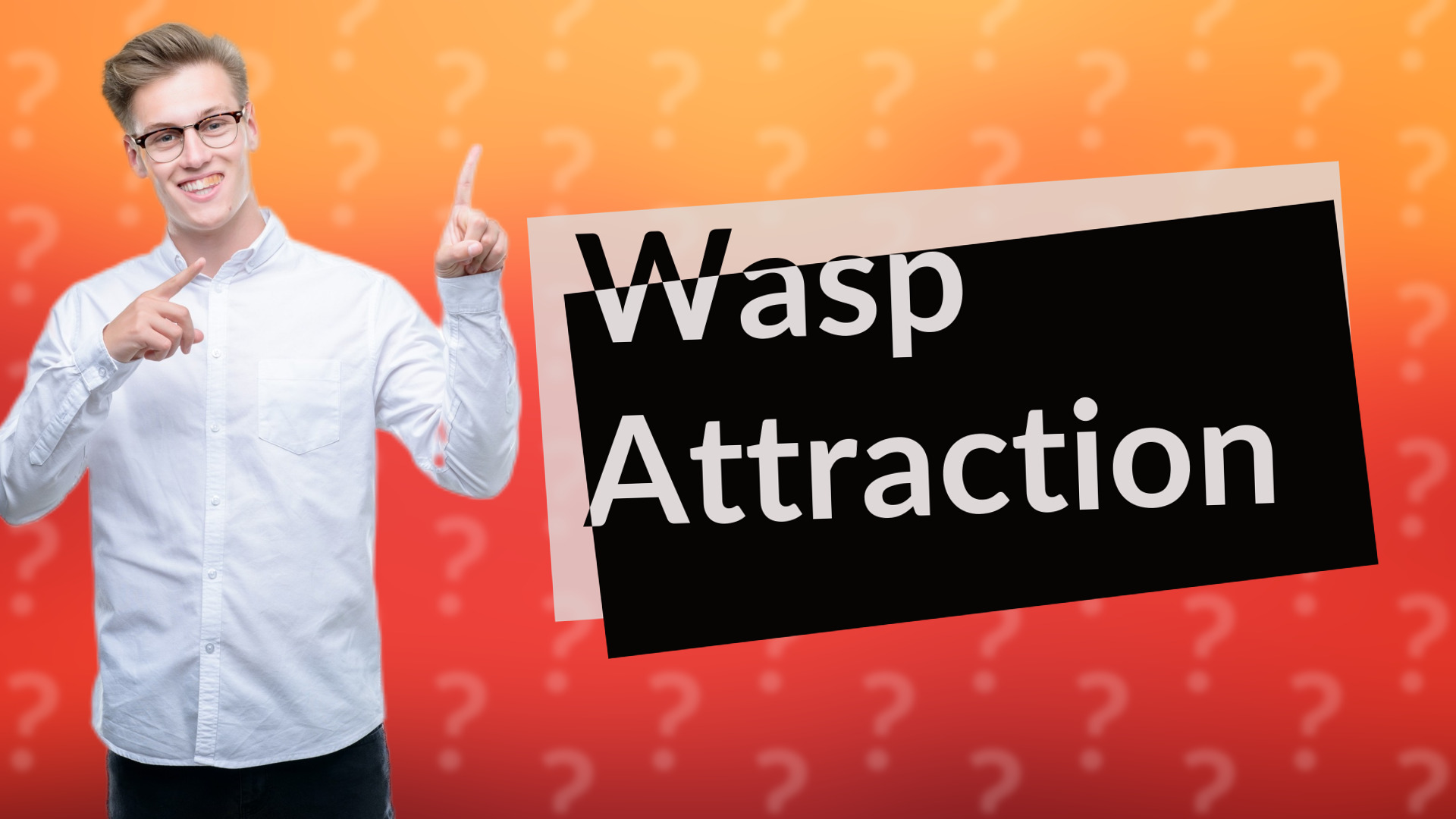 Wasp Attraction