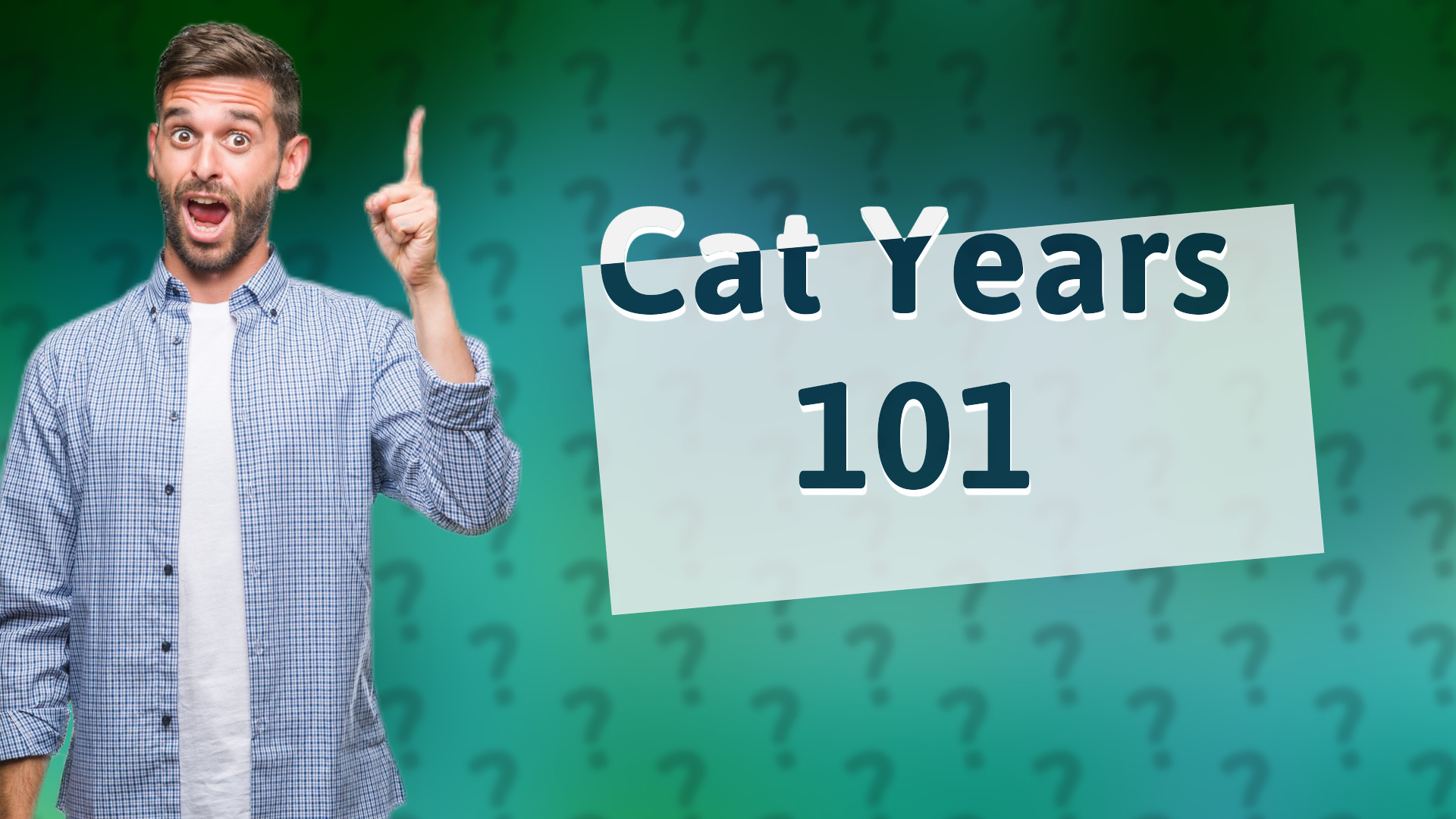 Cat Years 101