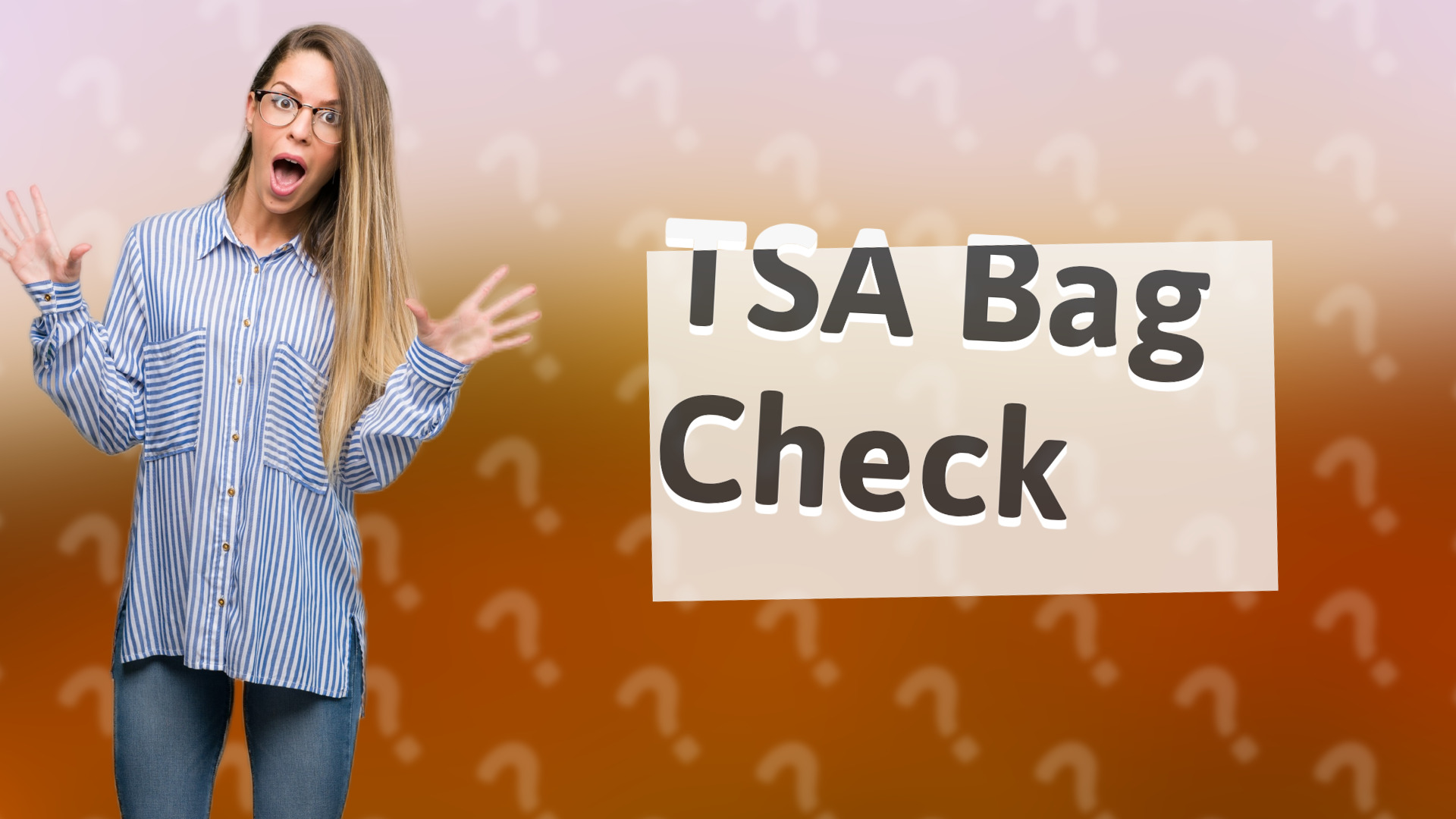 TSA Bag Check