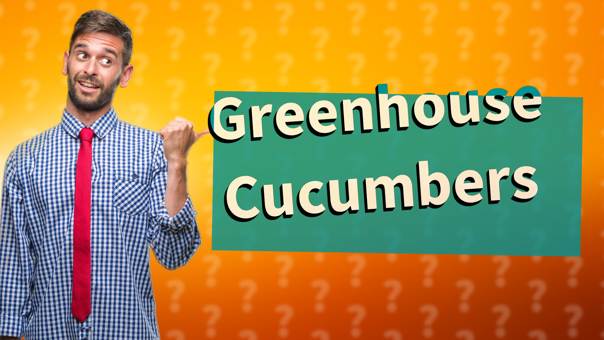 Greenhouse Cucumbers