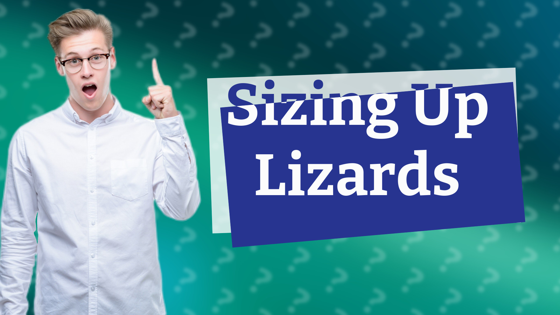 Sizing Up Lizards