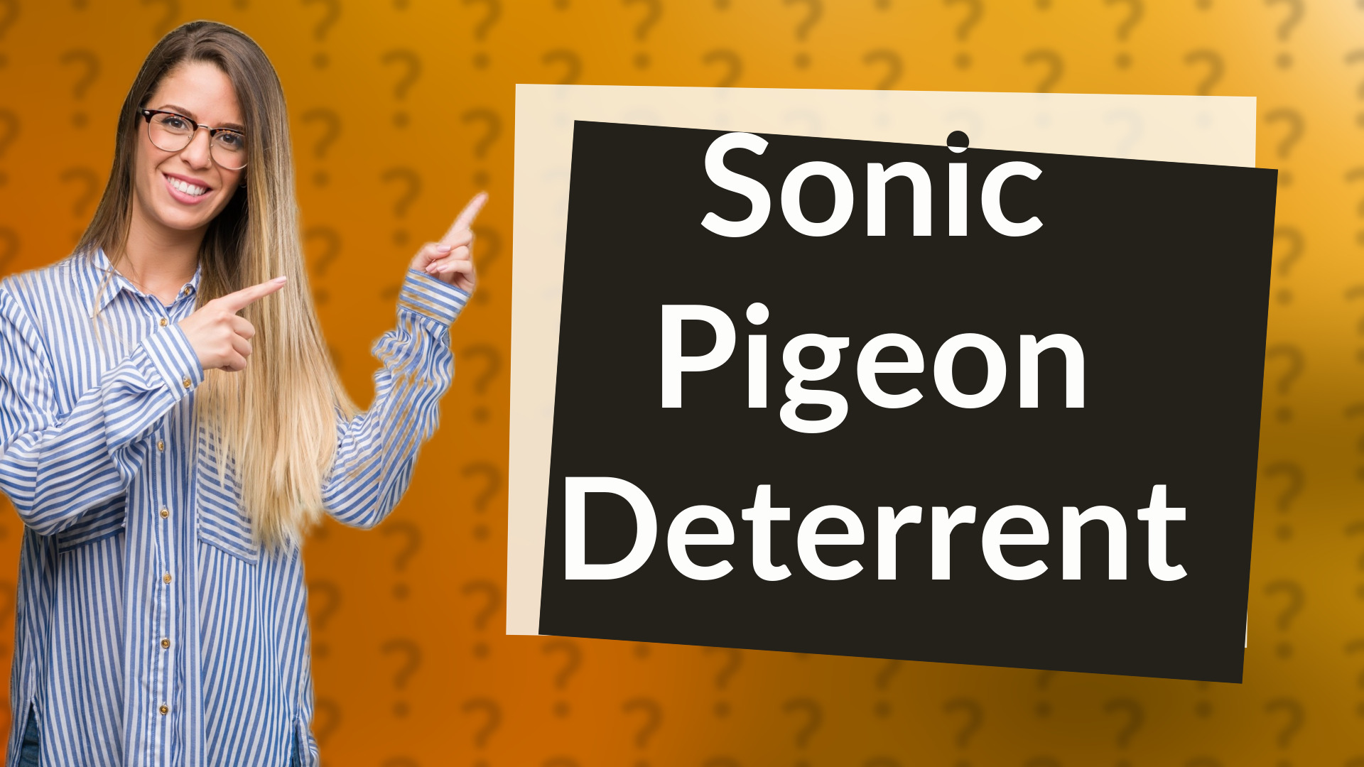 Sonic Pigeon Deterrent