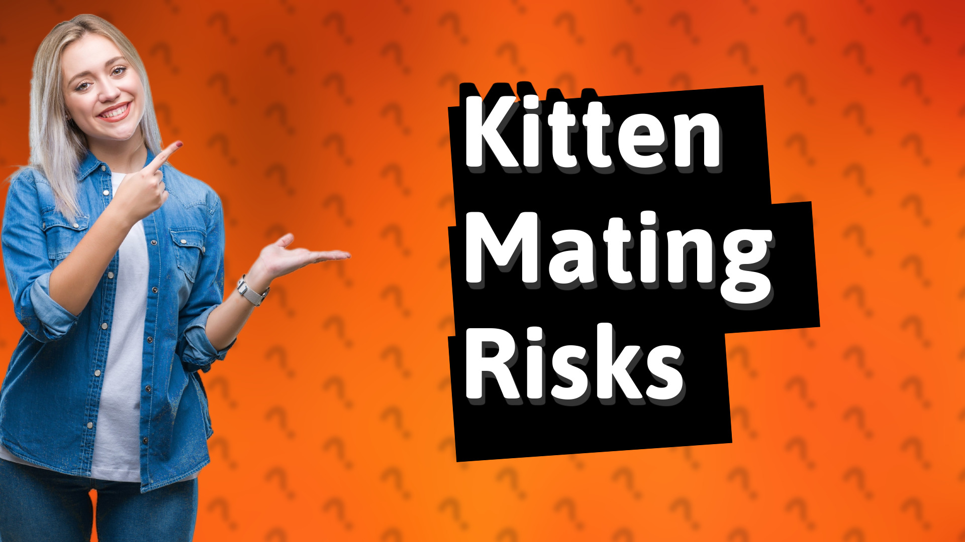 Kitten Mating Risks