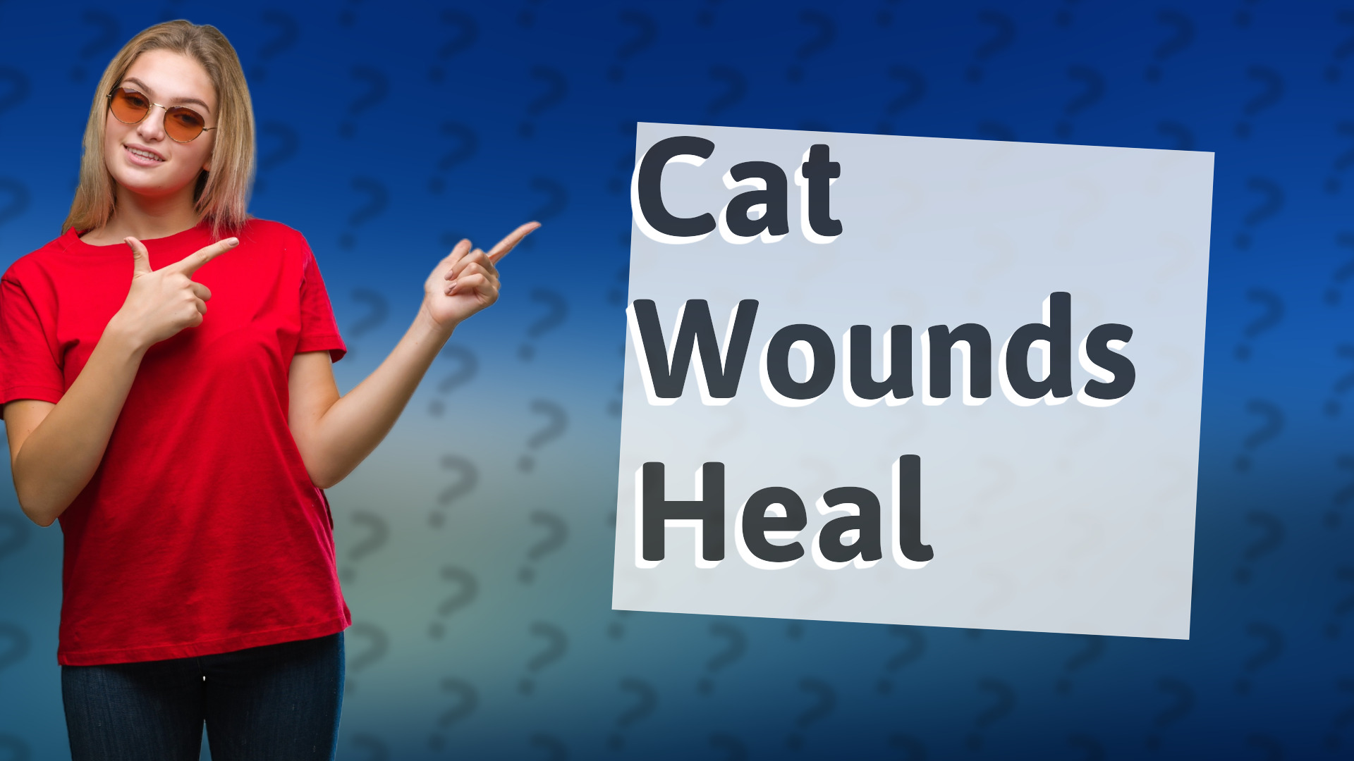 Cat Wounds Heal