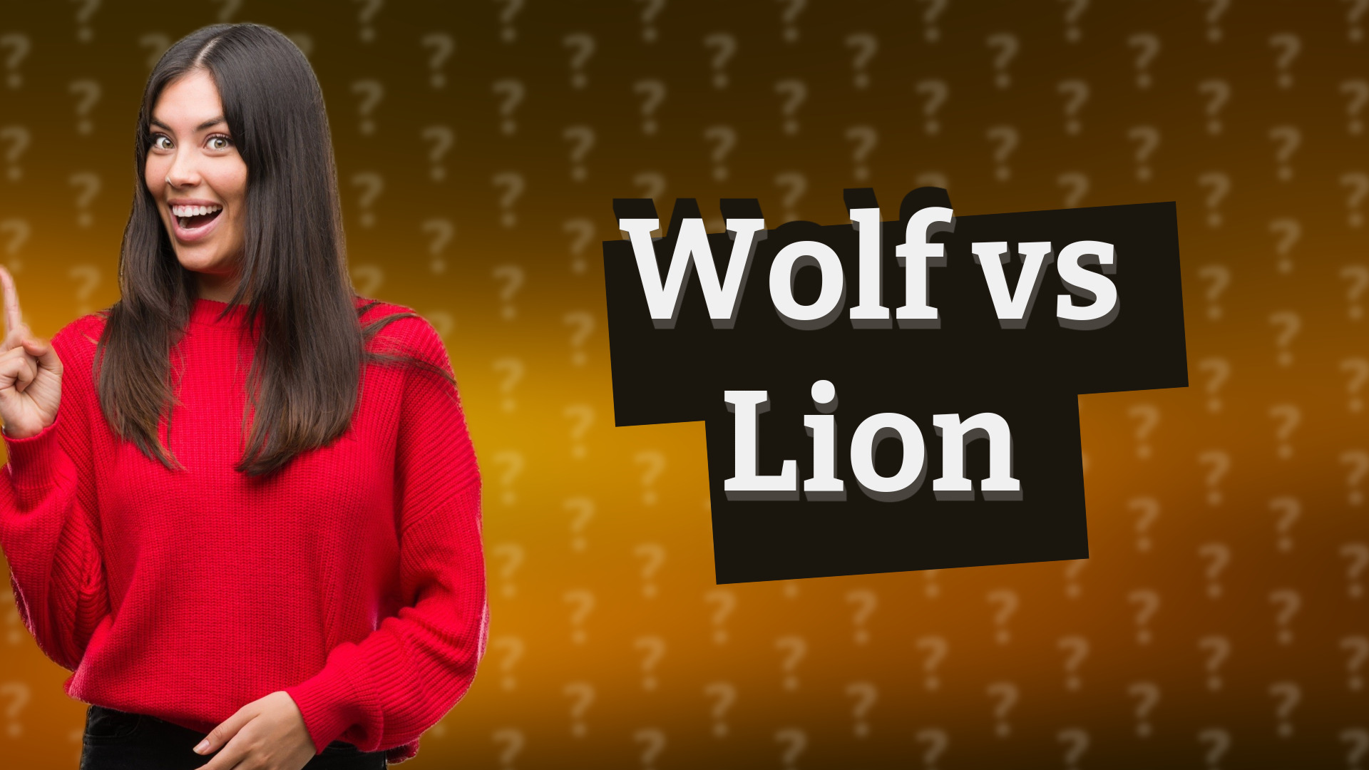Wolf vs Lion