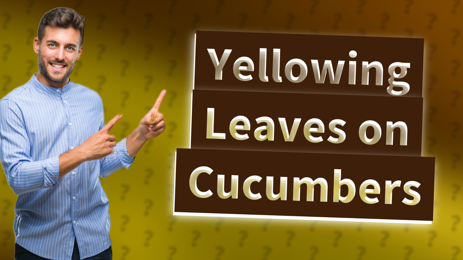 Yellowing Leaves on Cucumbers