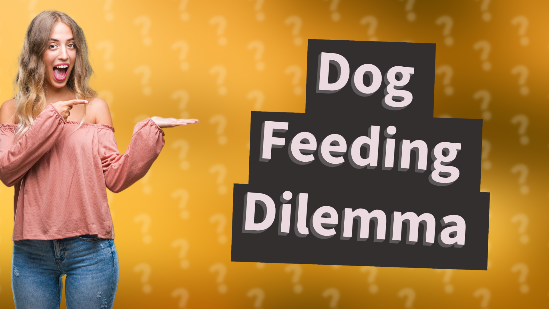 Dog Feeding Dilemma