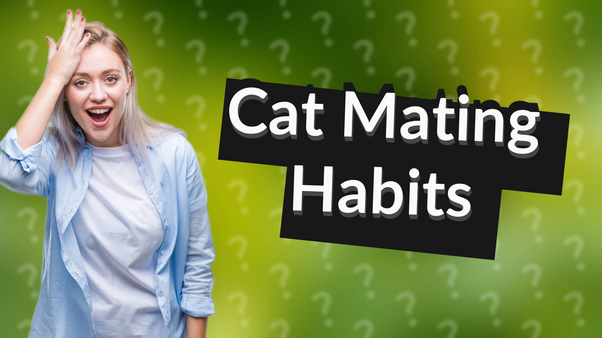 Cat Mating Habits