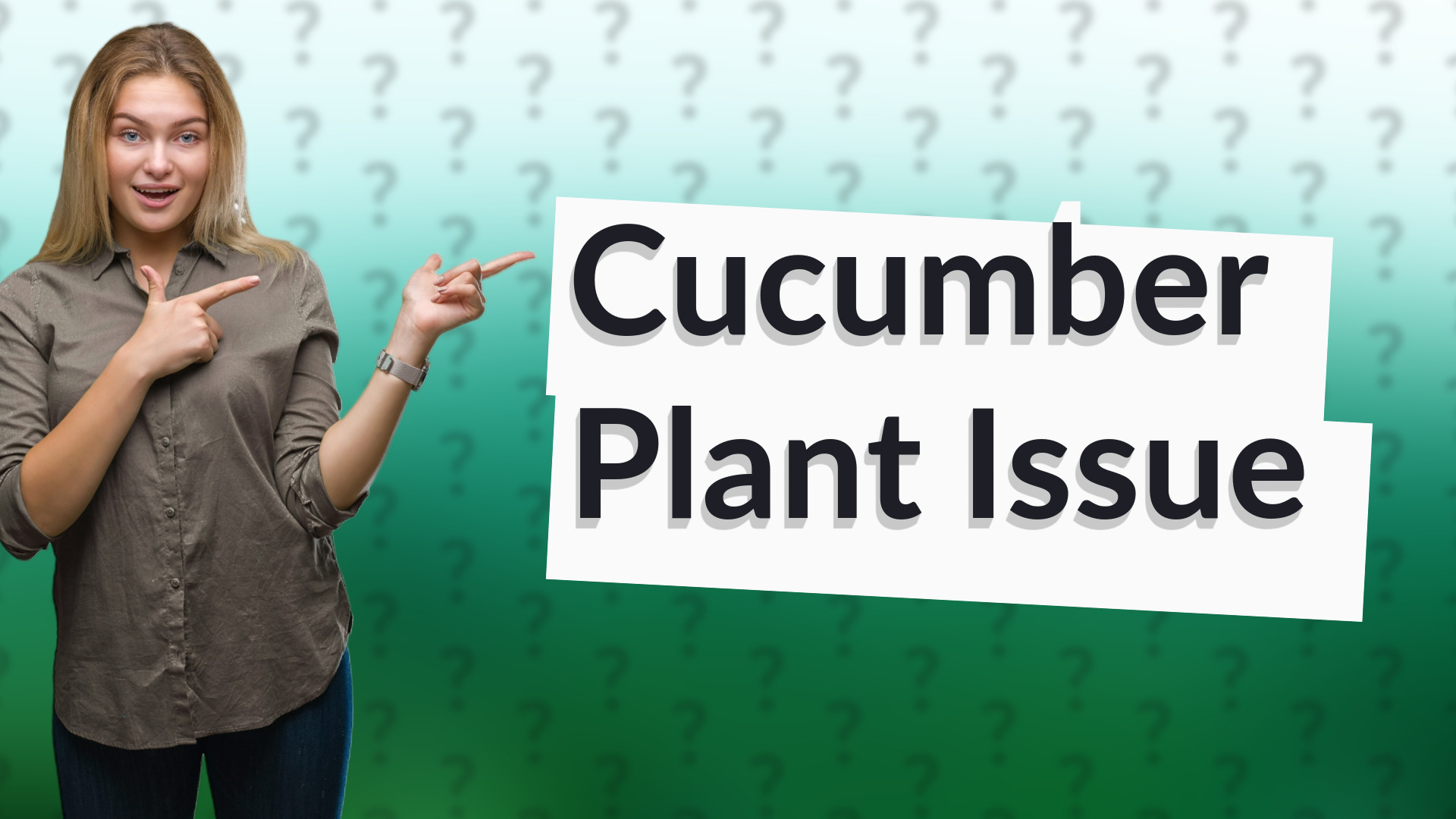 Cucumber Plant Issue