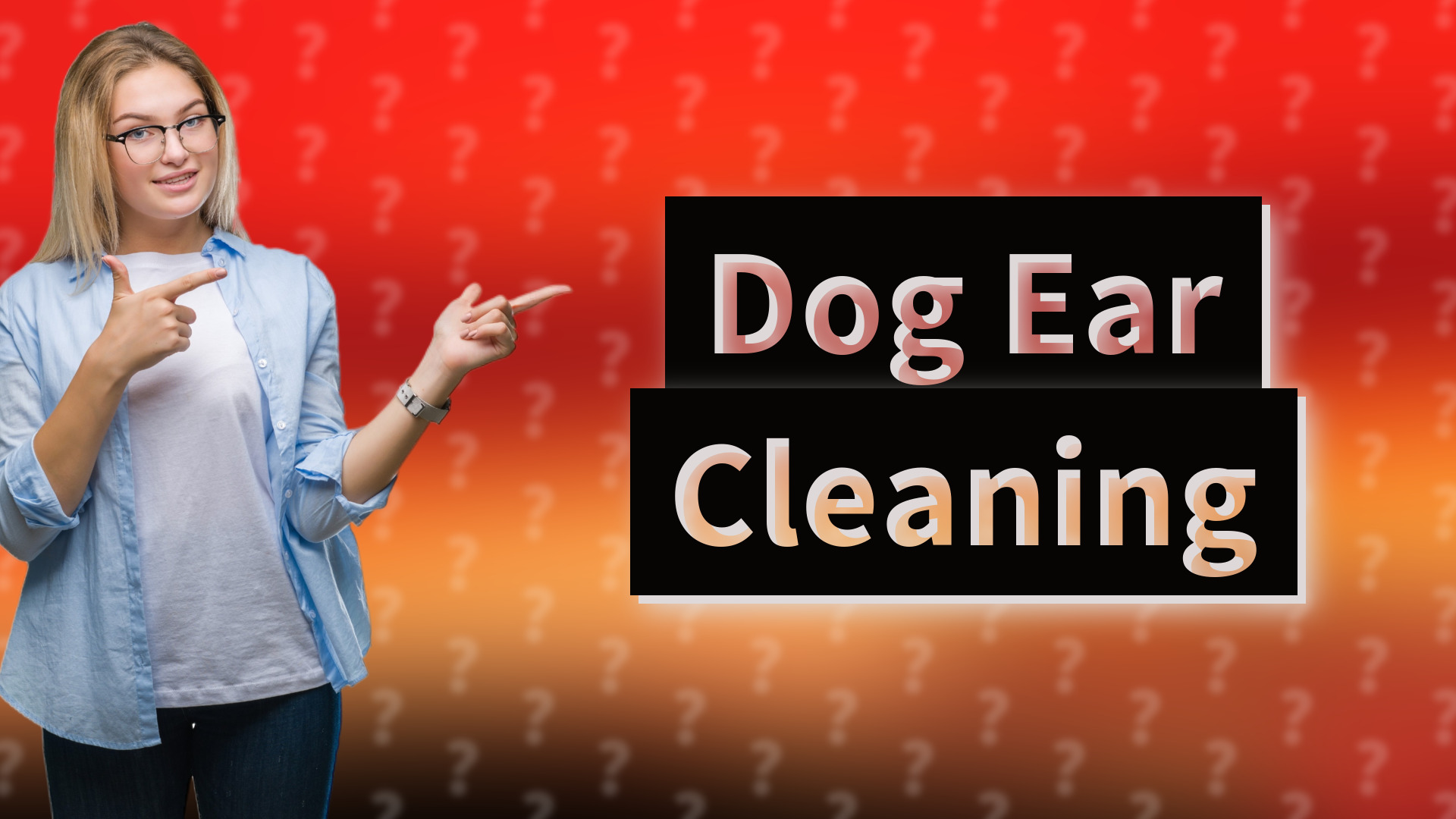Dog Ear Cleaning