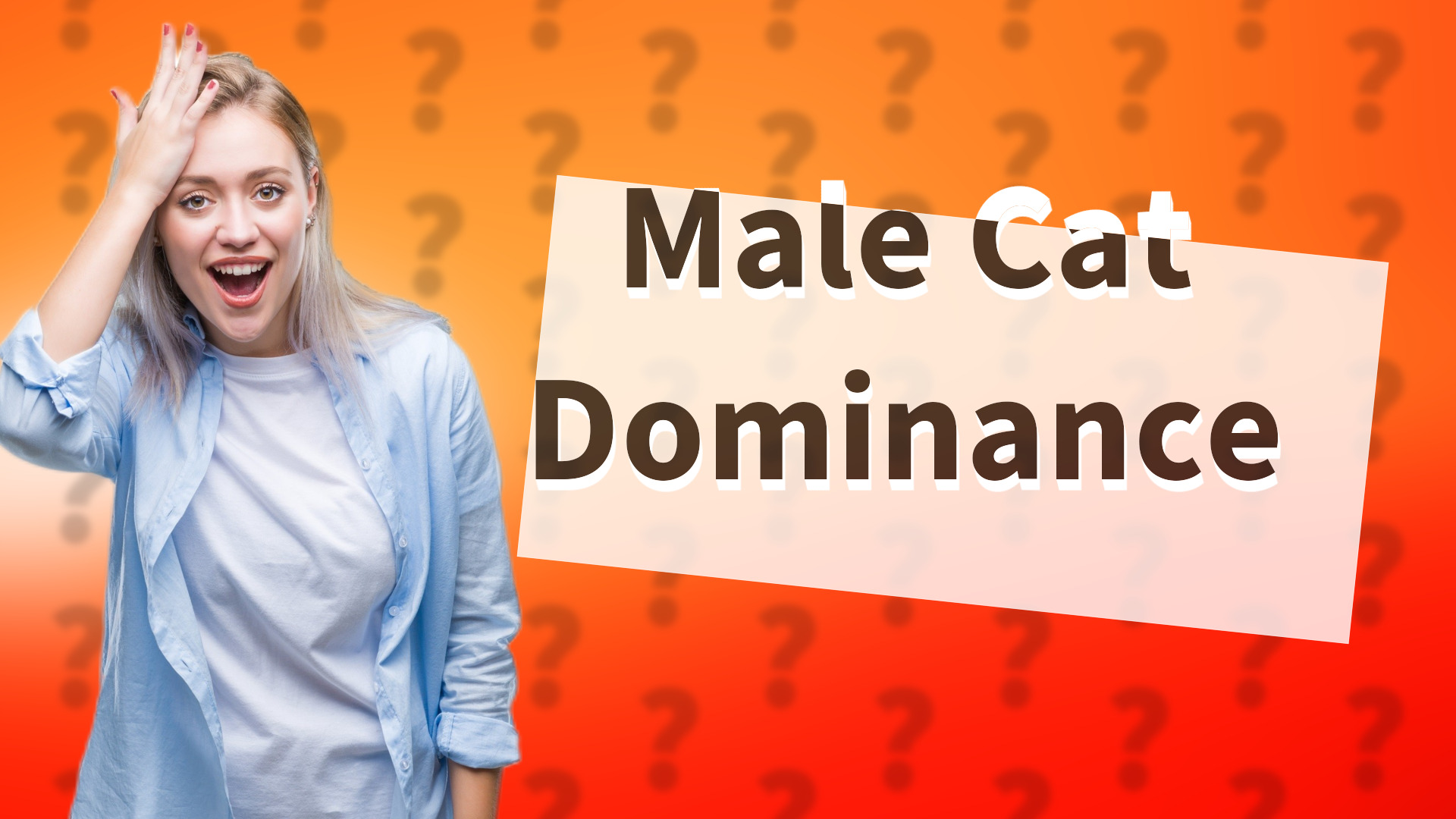 Male Cat Dominance