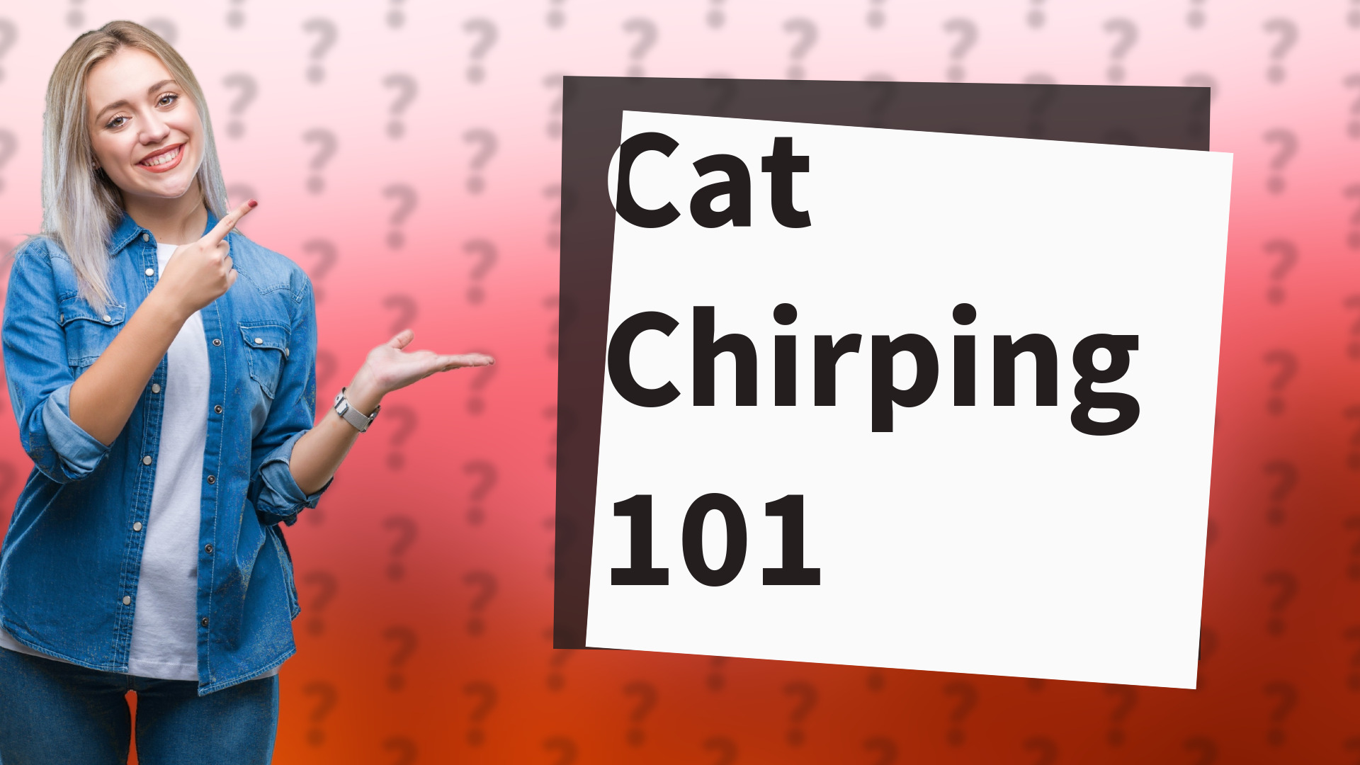 Cat Chirping 101