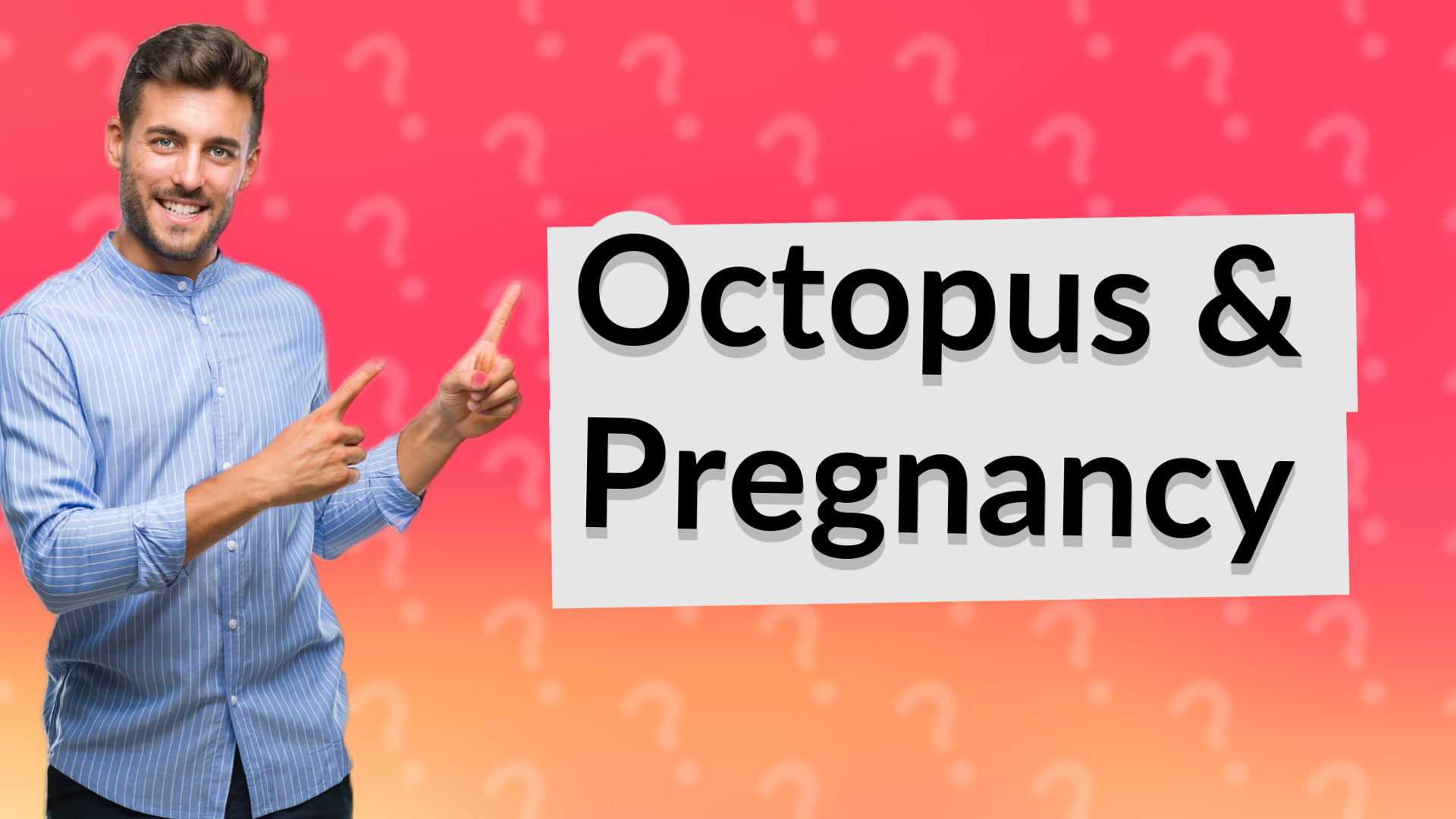 Octopus & Pregnancy