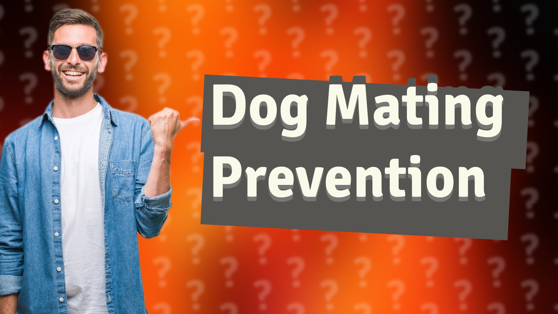 Dog Mating Prevention