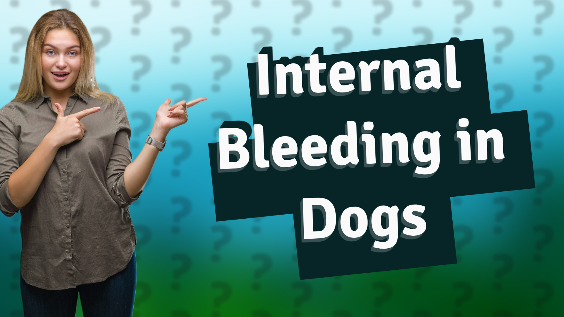 Internal Bleeding in Dogs
