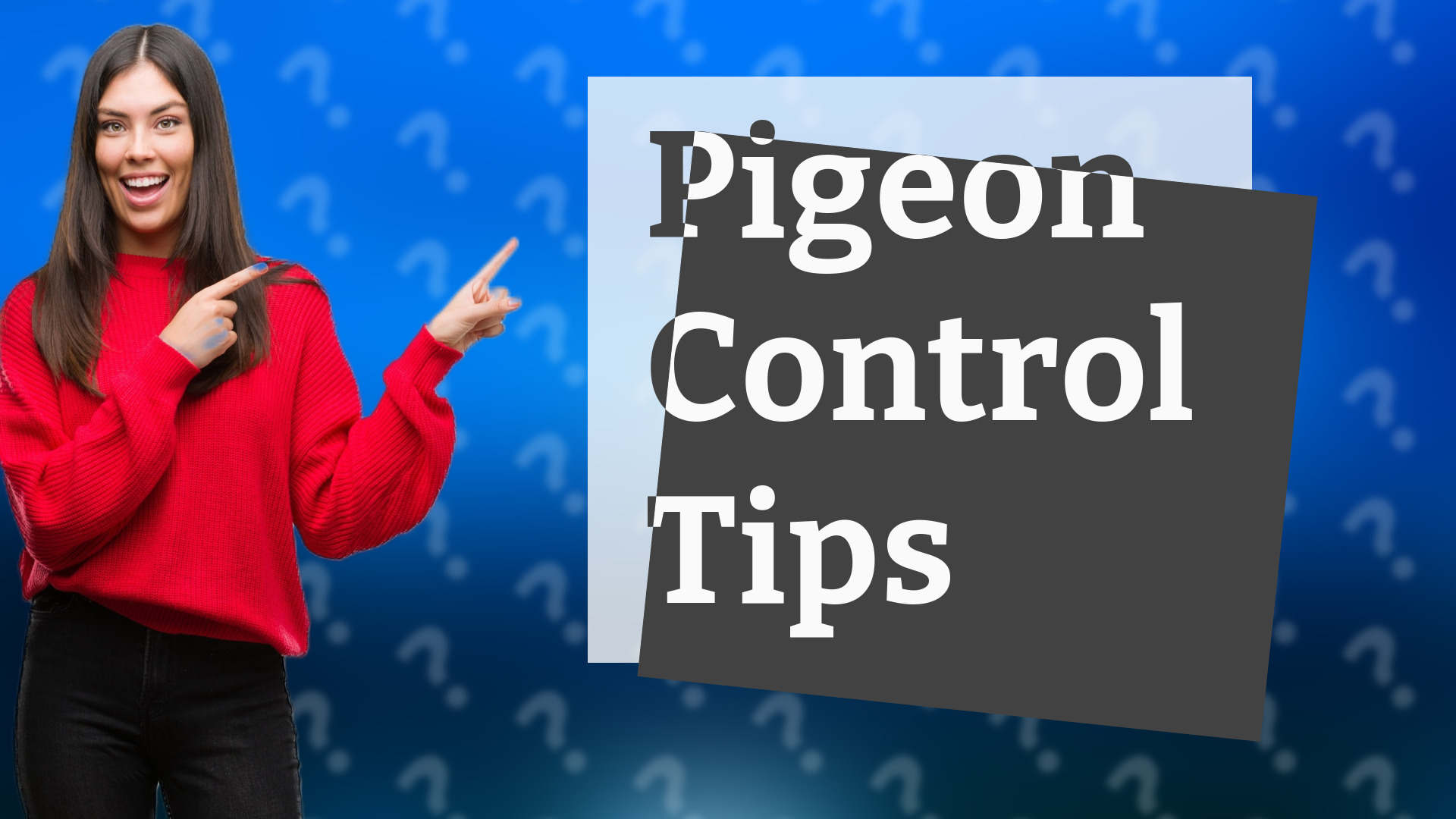 Pigeon Control Tips