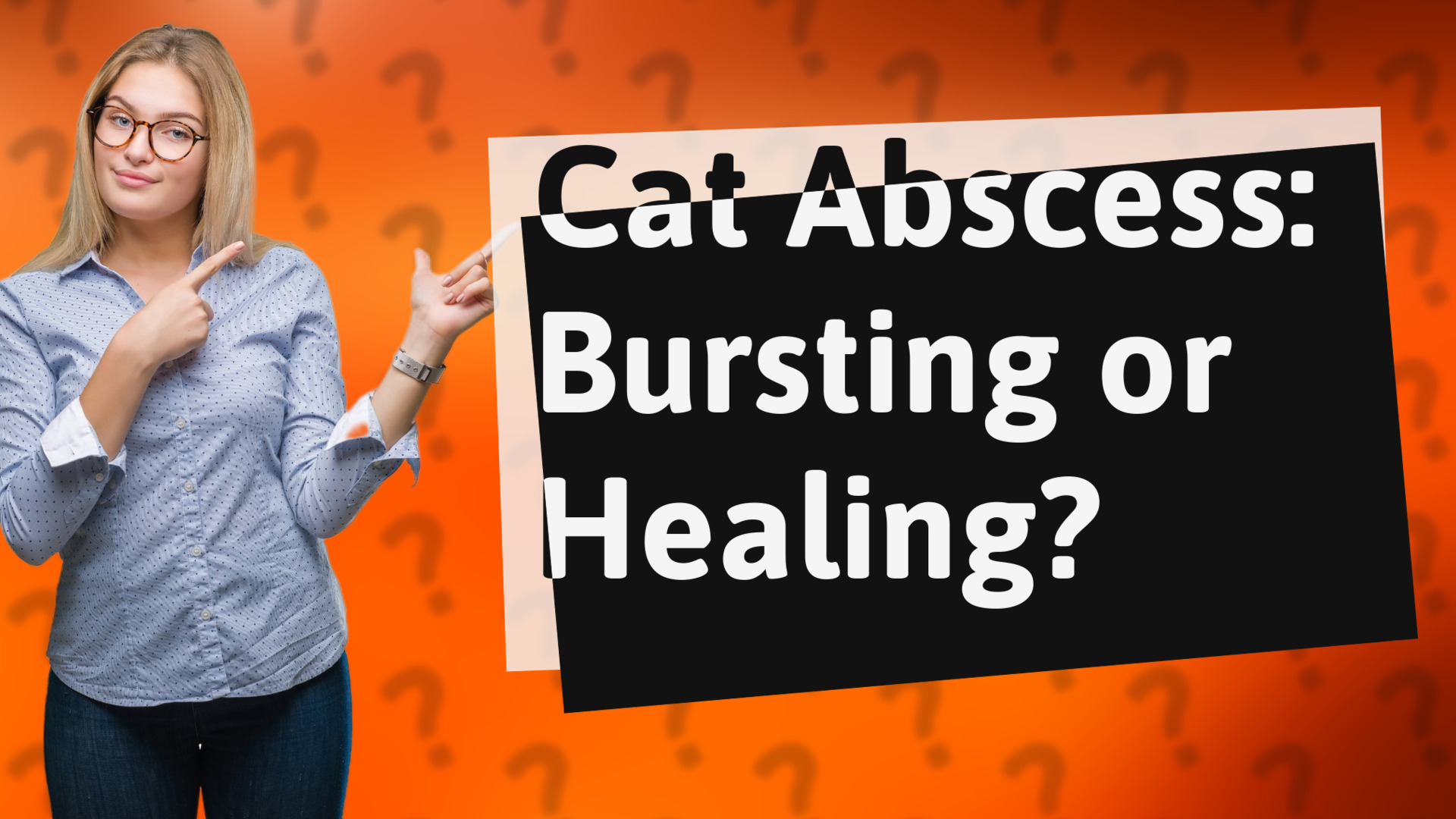 Cat Abscess: Bursting or Healing?