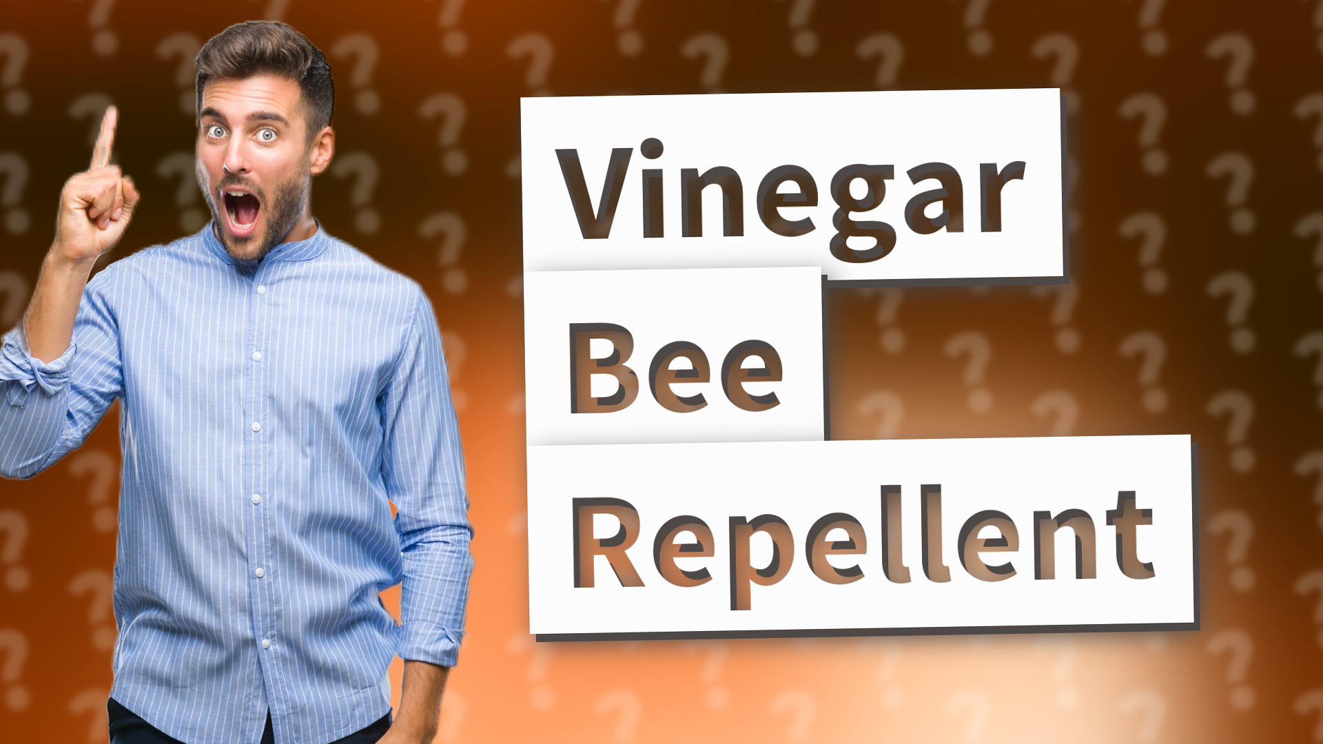 Vinegar Bee Repellent