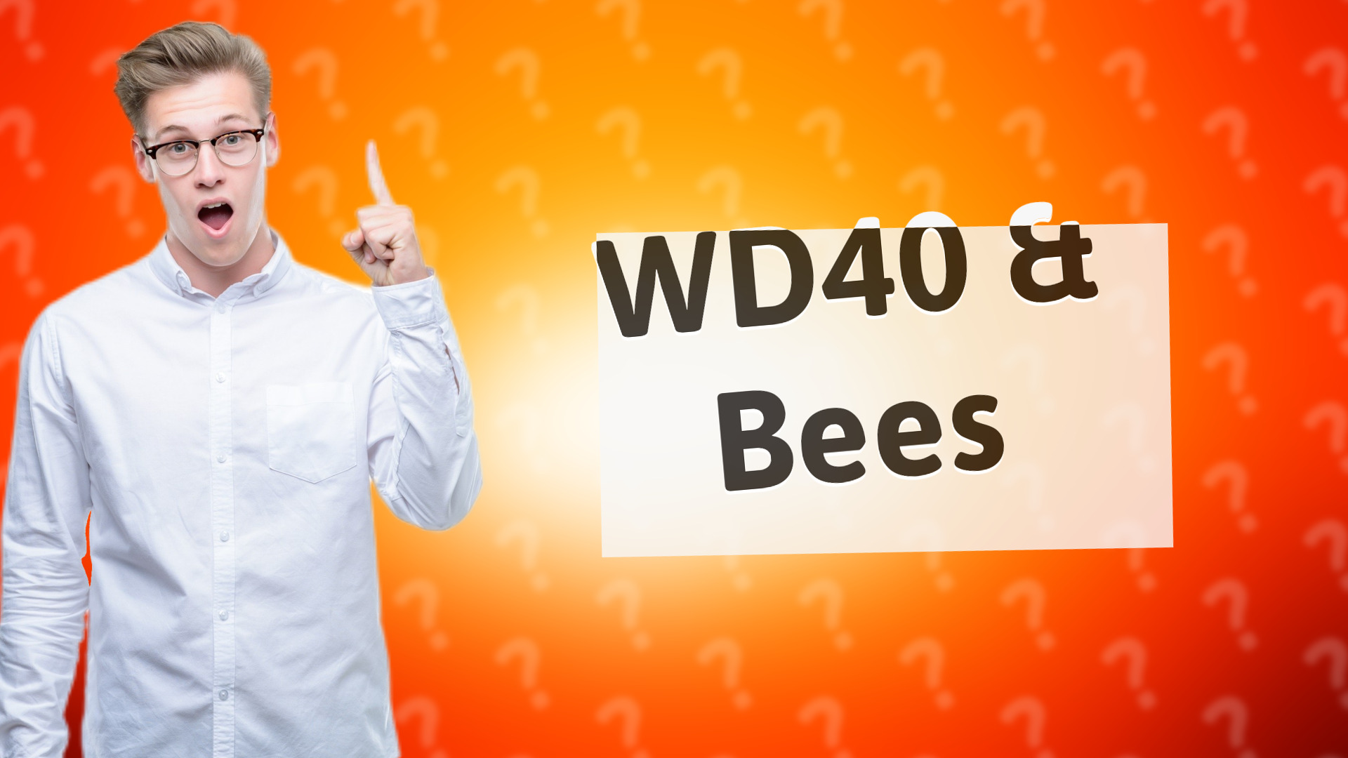 WD40 & Bees