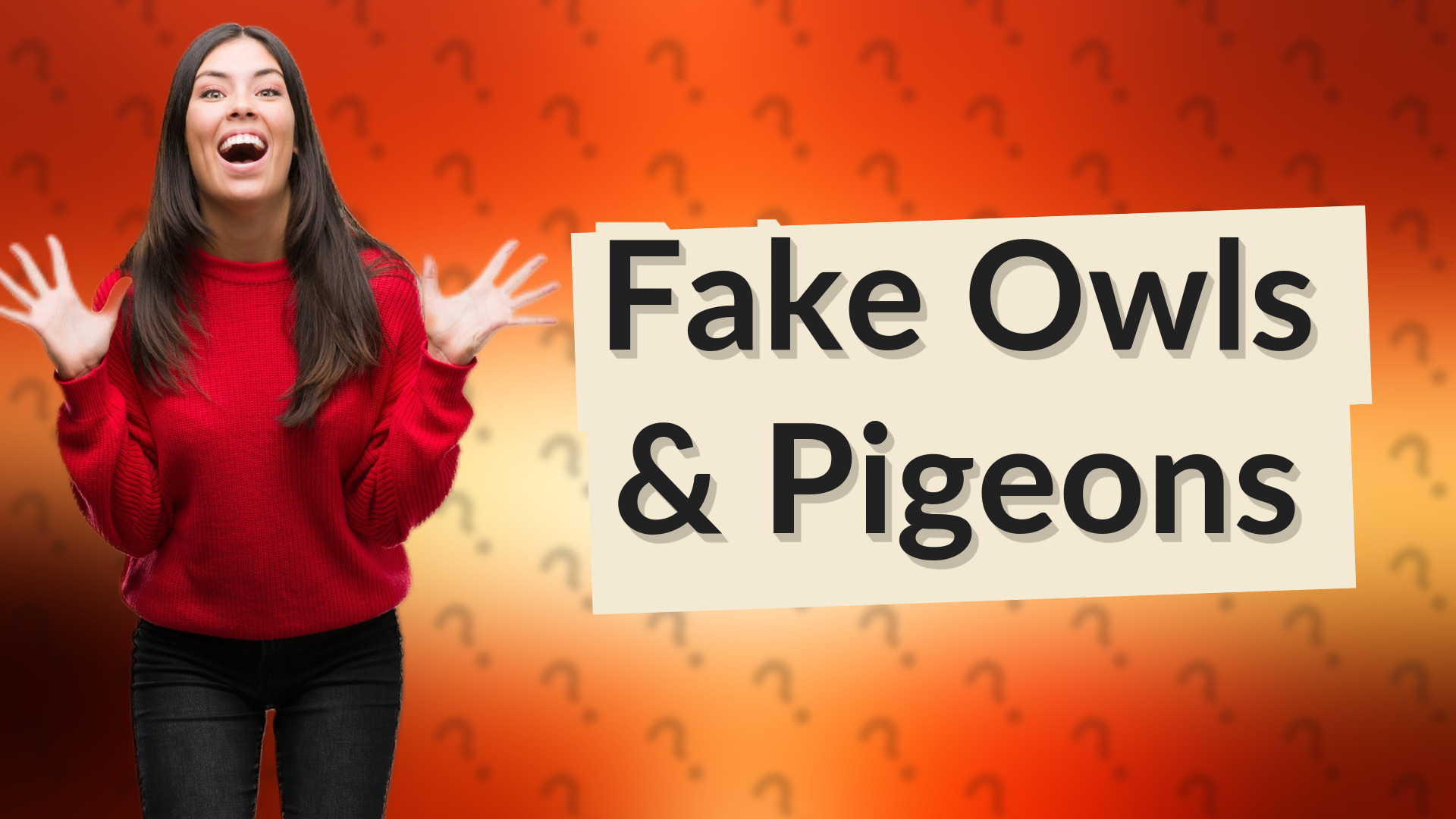 Fake Owls & Pigeons