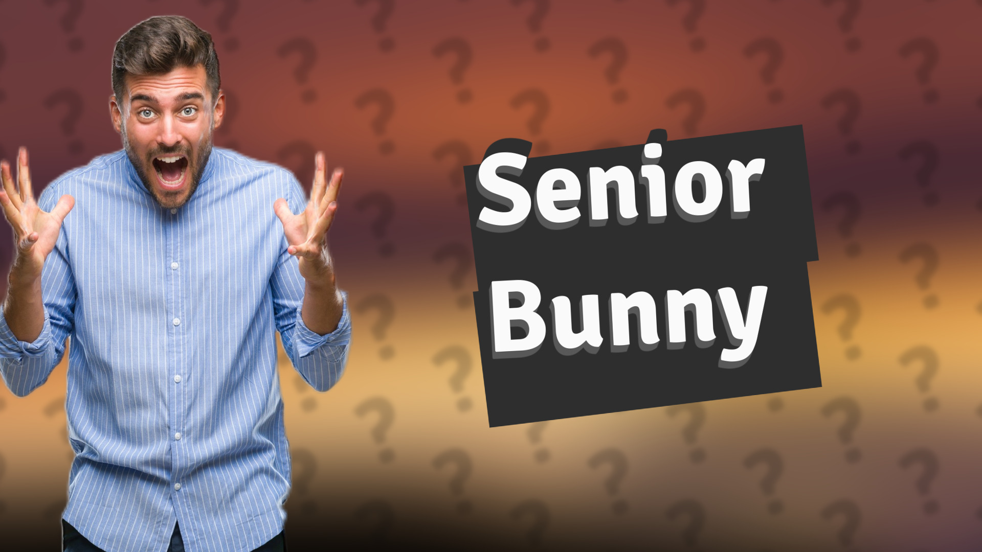 Senior Bunny