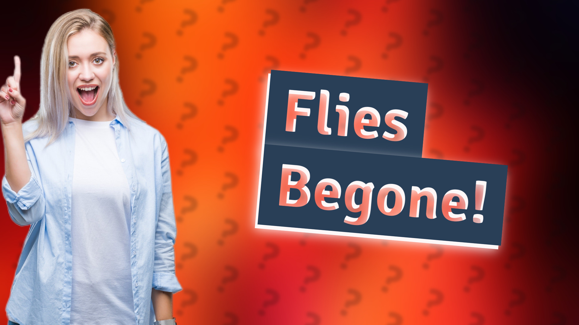 Flies Begone!