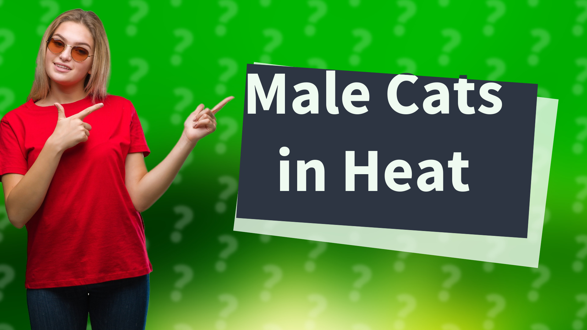 Male Cats in Heat