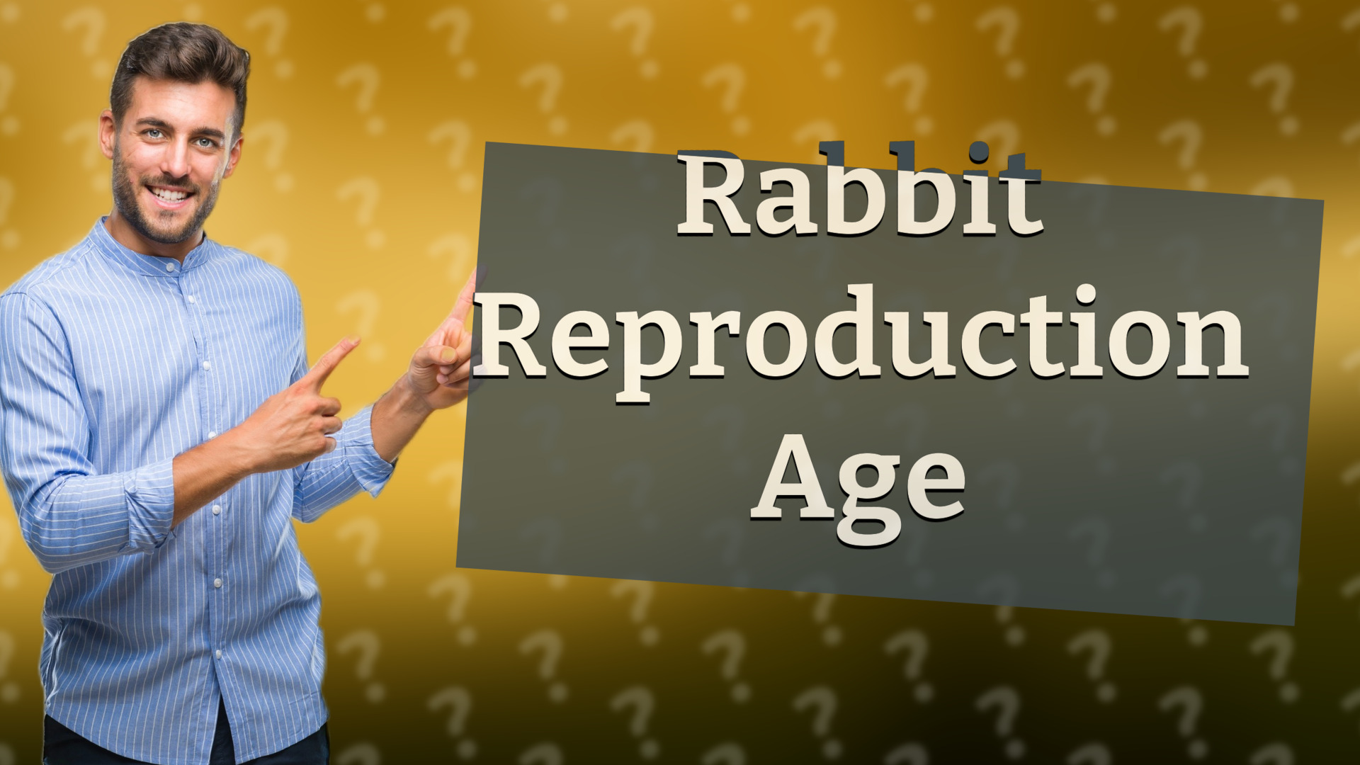 Rabbit Reproduction Age