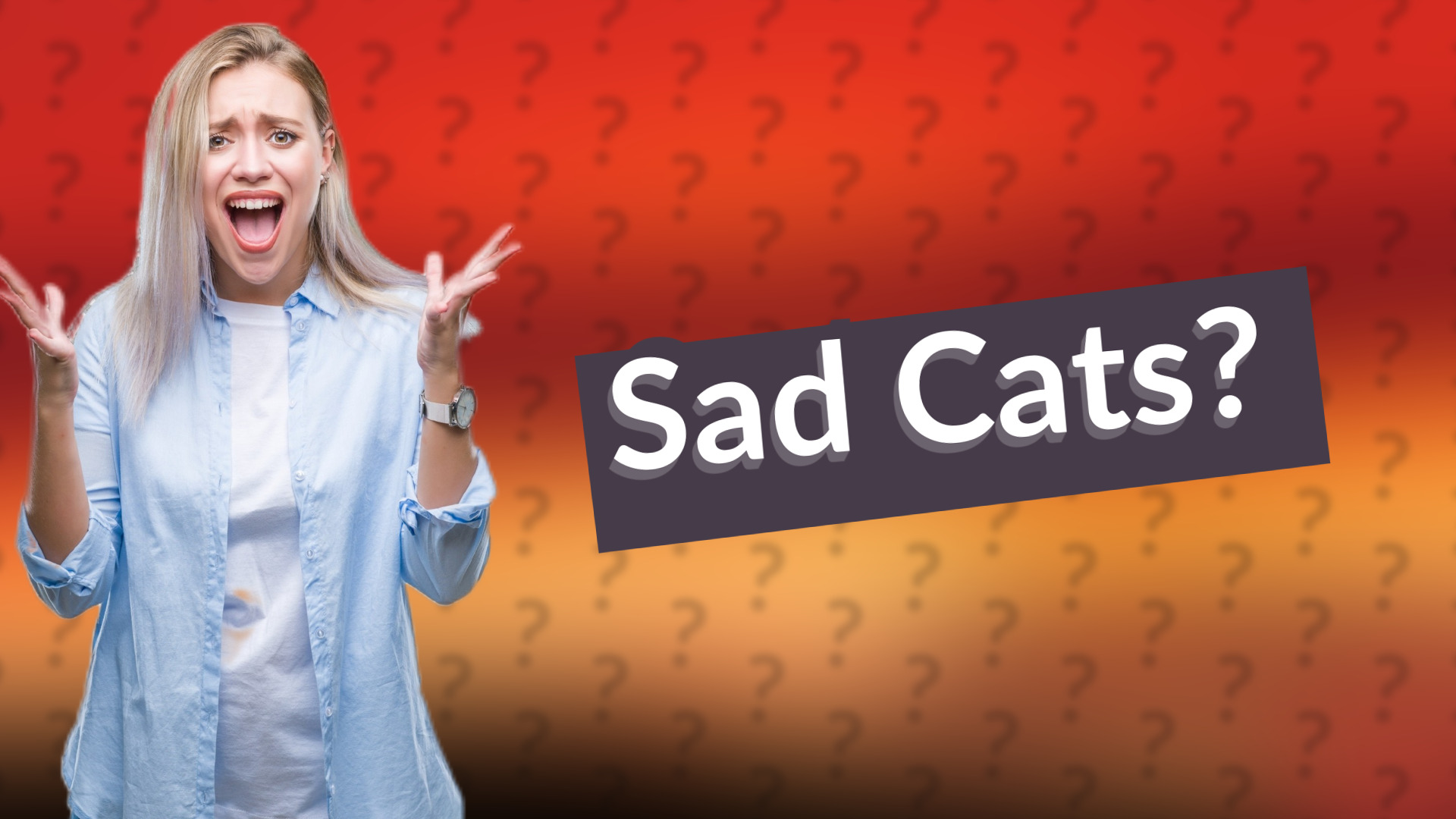 Sad Cats?