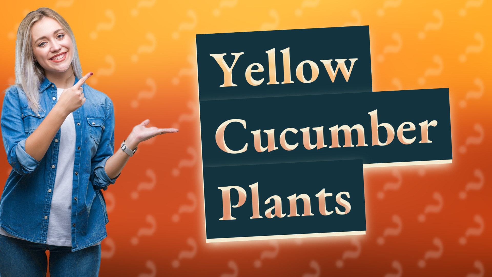 Yellow Cucumber Plants