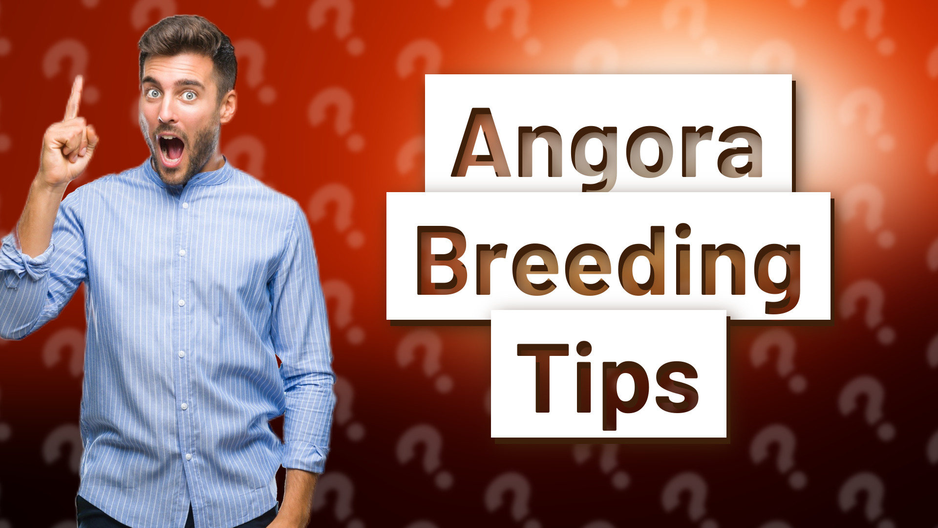 Angora Breeding Tips