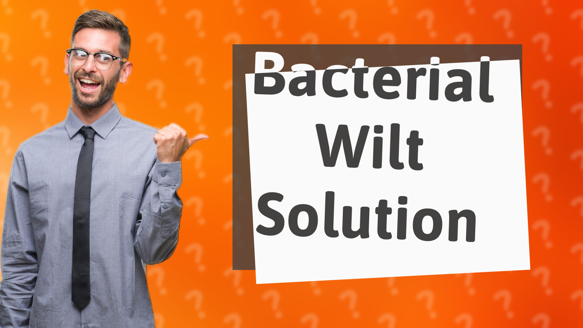 Bacterial Wilt Solution