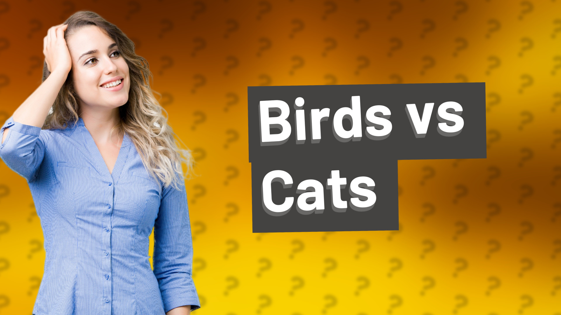 Birds vs Cats