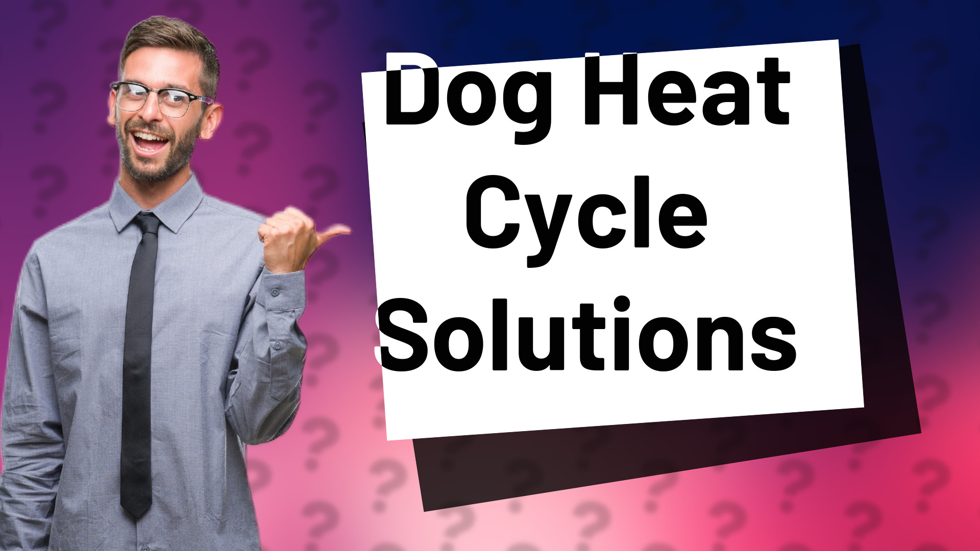 Dog Heat Cycle Solutions