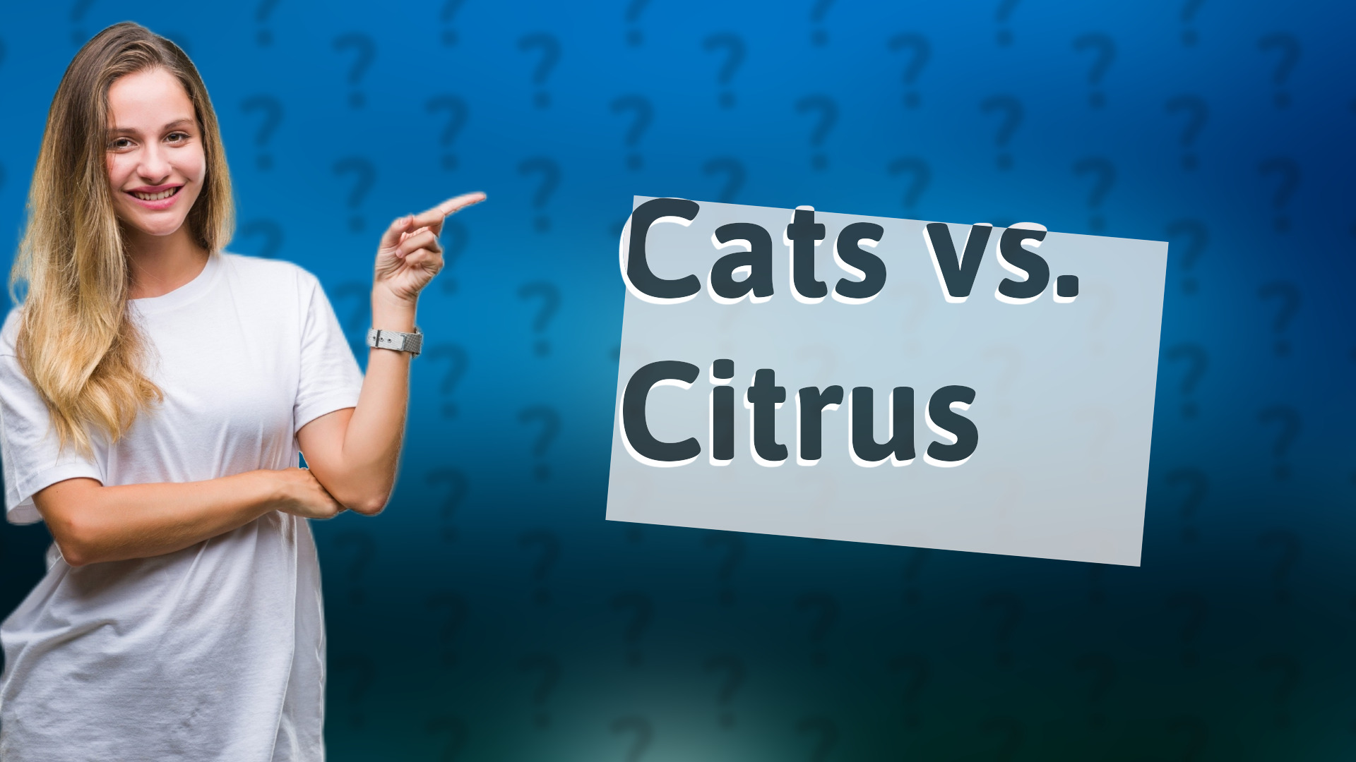 Cats vs. Citrus